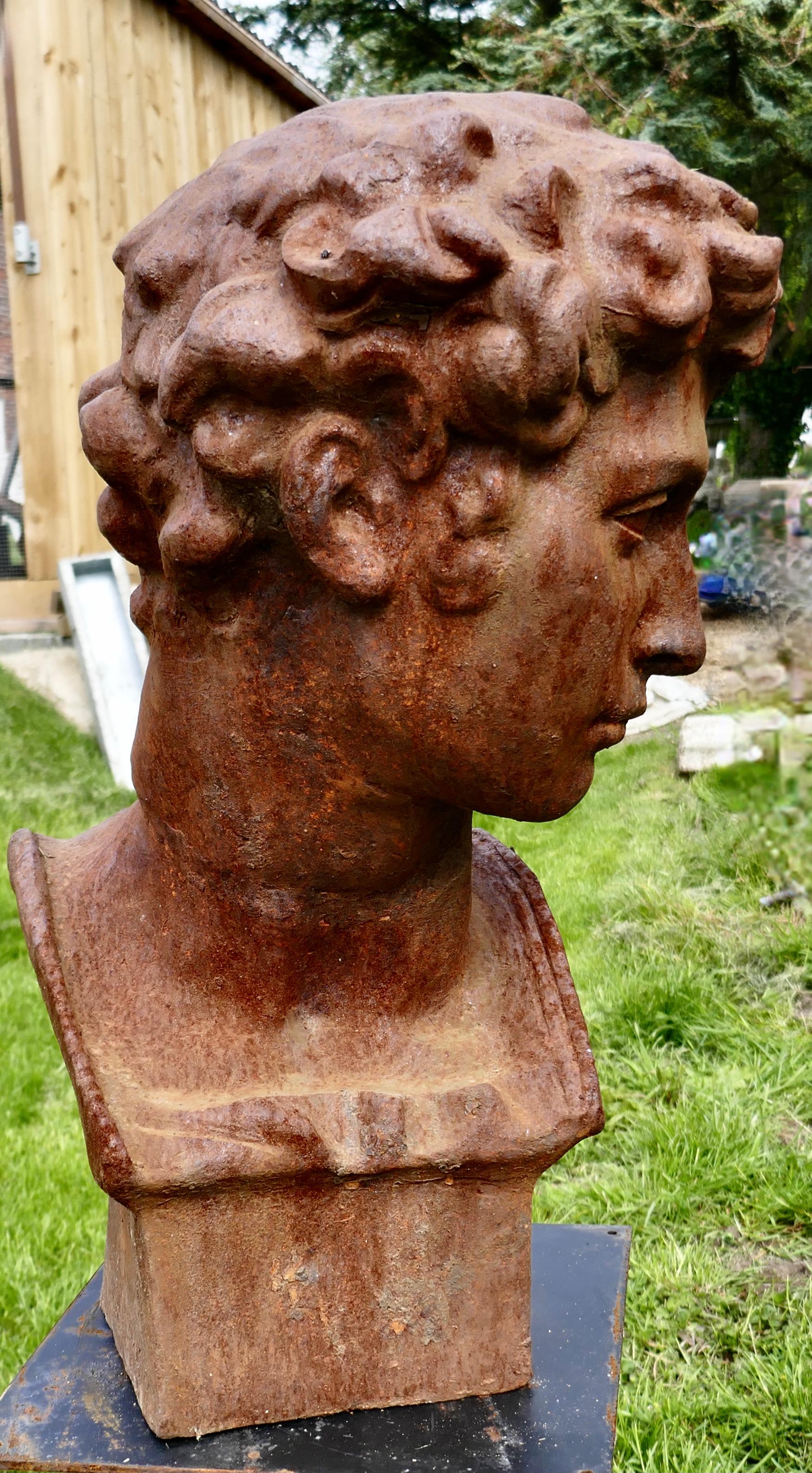 Weathered Cast Iron Statue of Michelangelo's David In Good Condition In Chillerton, Isle of Wight