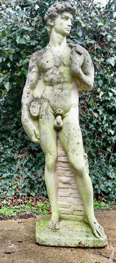 Weathered Cast Statue of Michelangelo's David A lovely piece for the garden