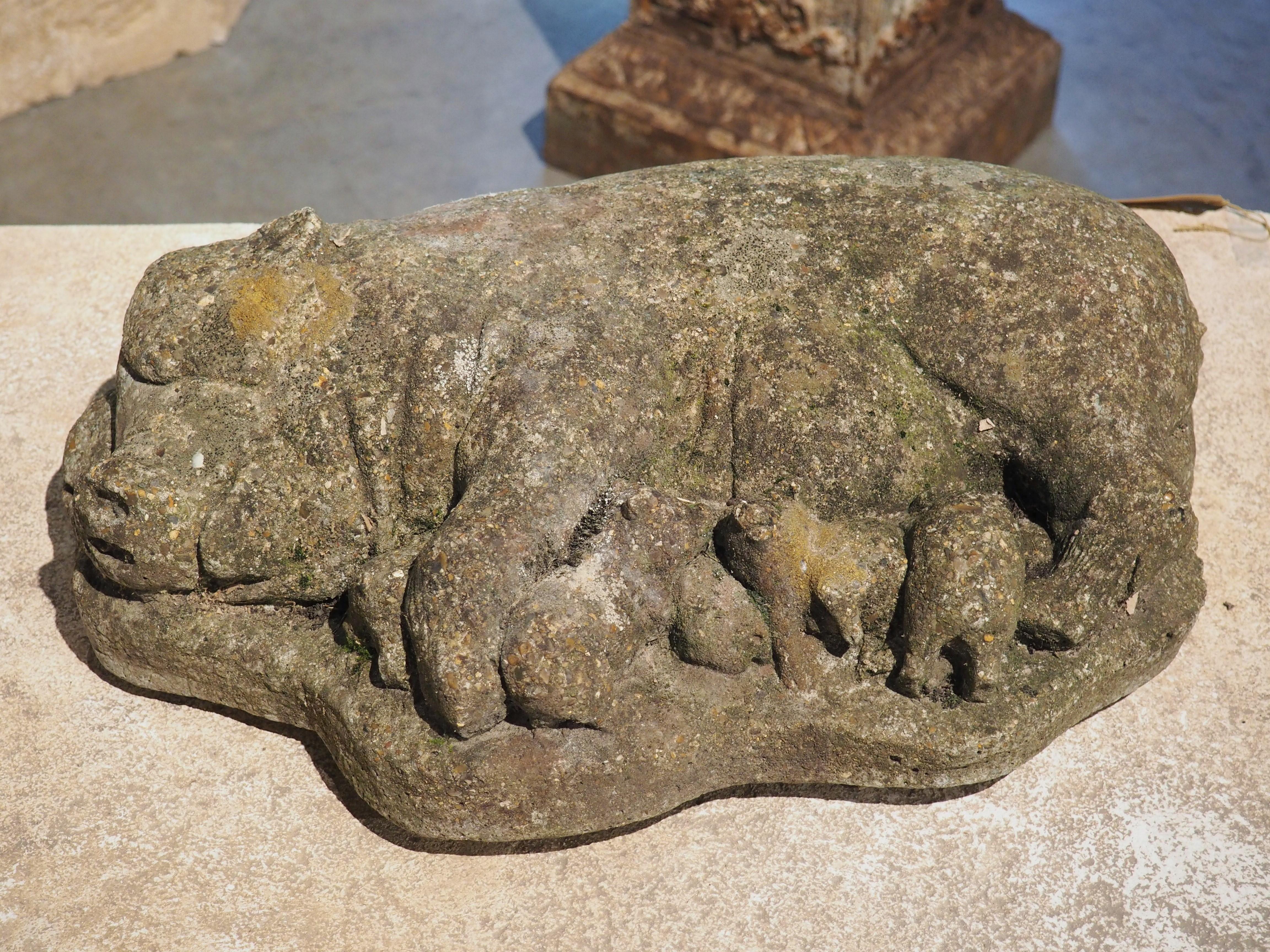 Weathered Cast Stone Pig and Piglets from England, 20th C. For Sale 8