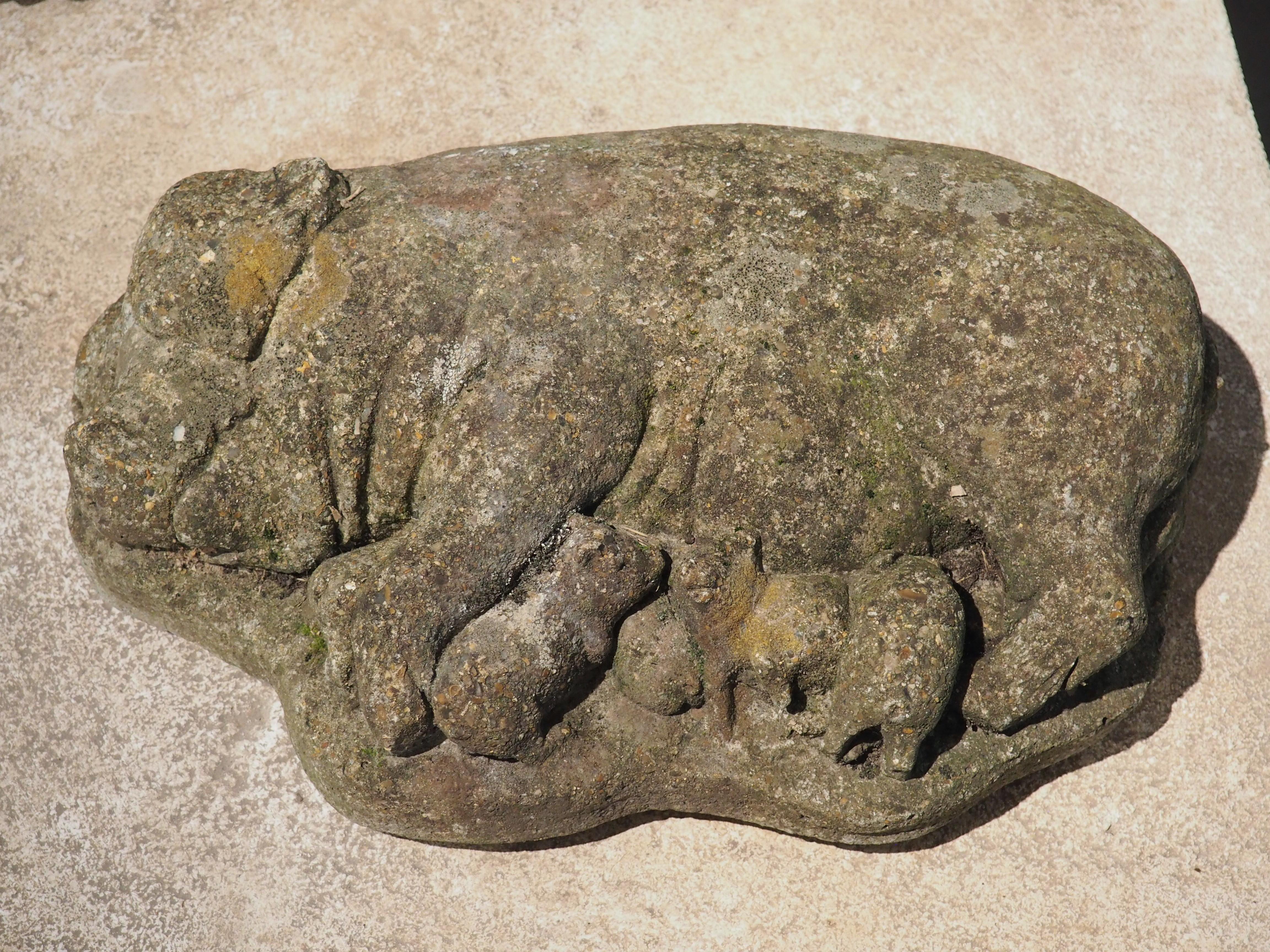 English Weathered Cast Stone Pig and Piglets from England, 20th C. For Sale
