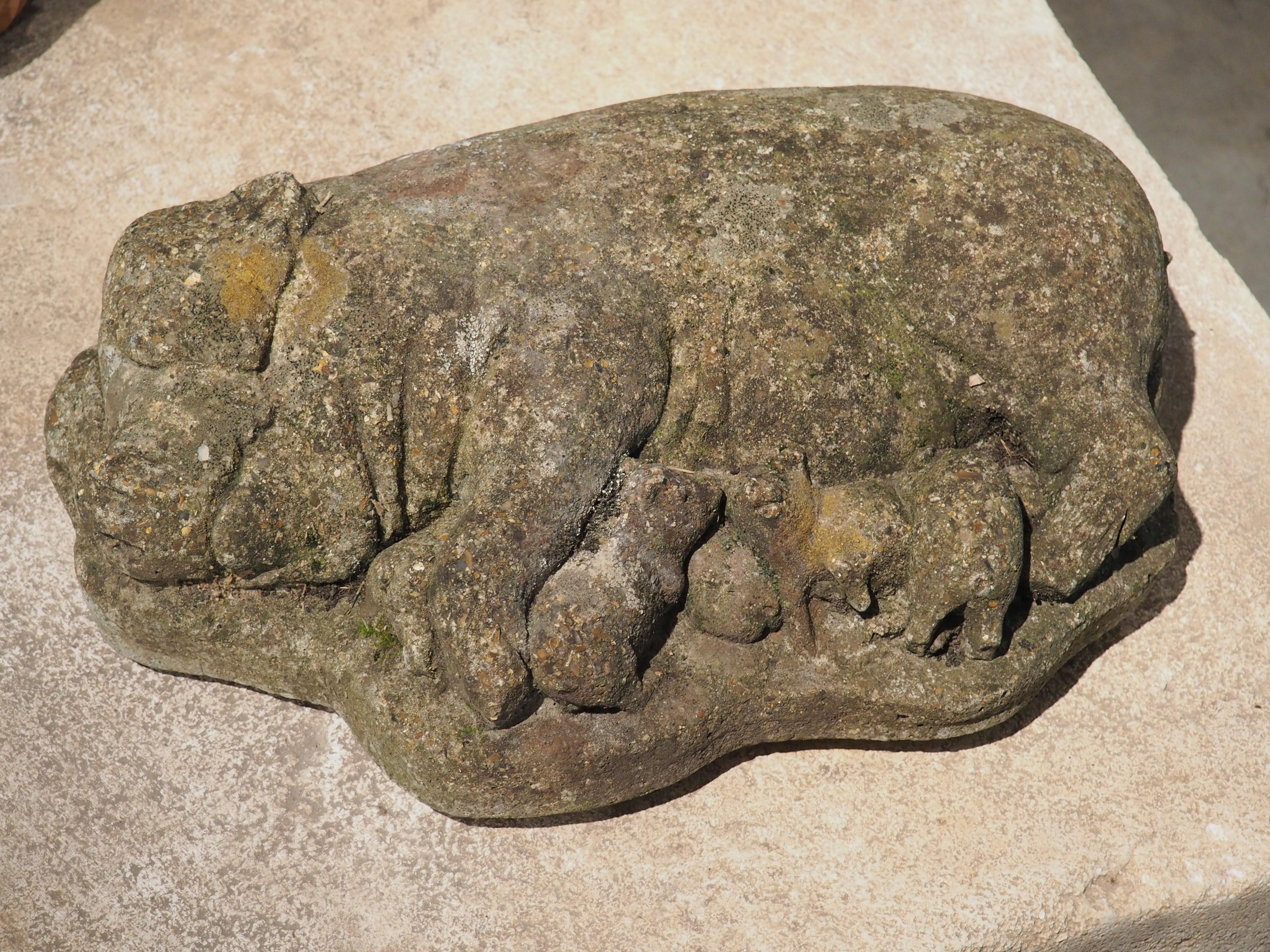 Weathered Cast Stone Pig and Piglets from England, 20th C. For Sale 3