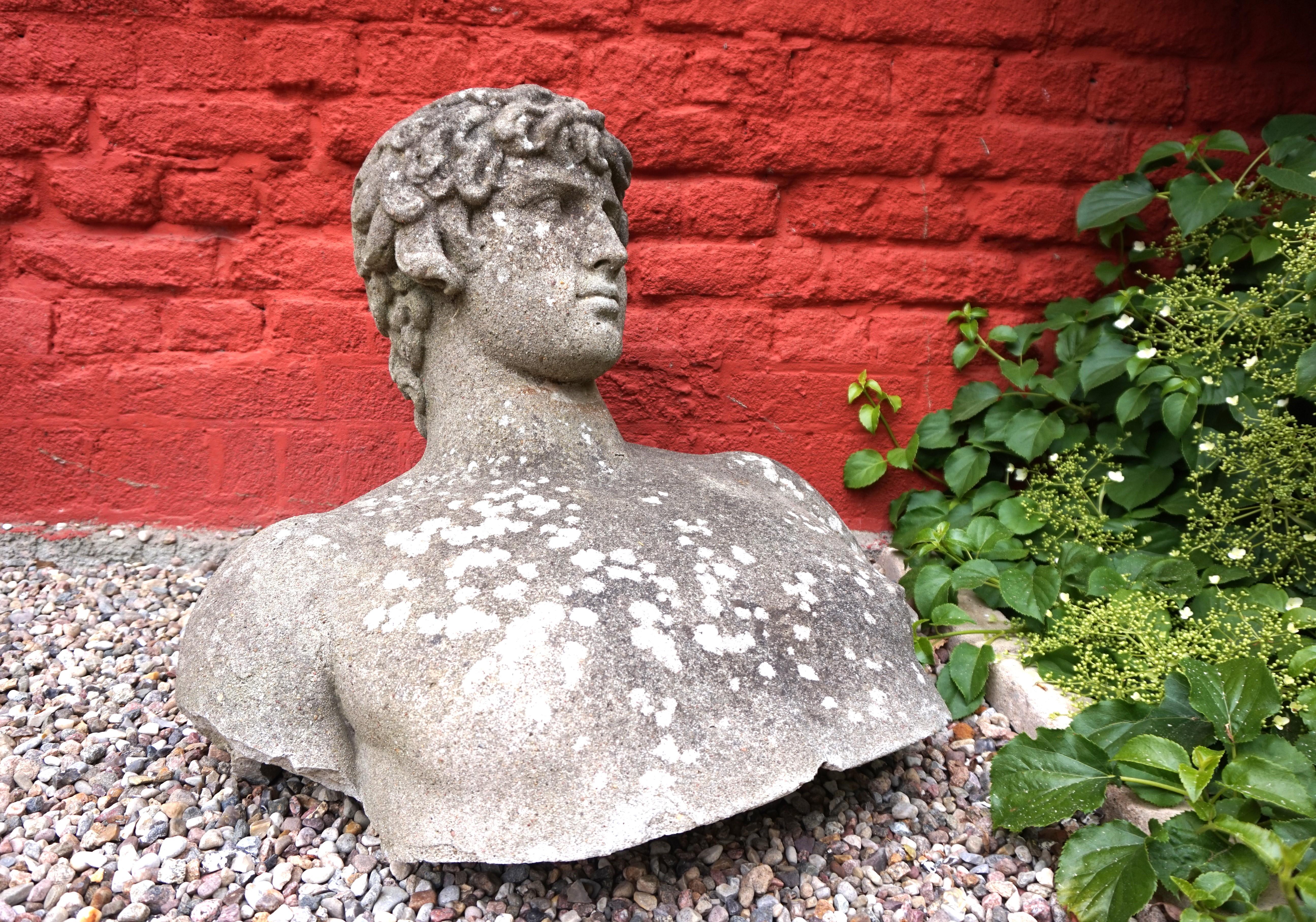 Weathered garden sculpture David concrete bust For Sale 3