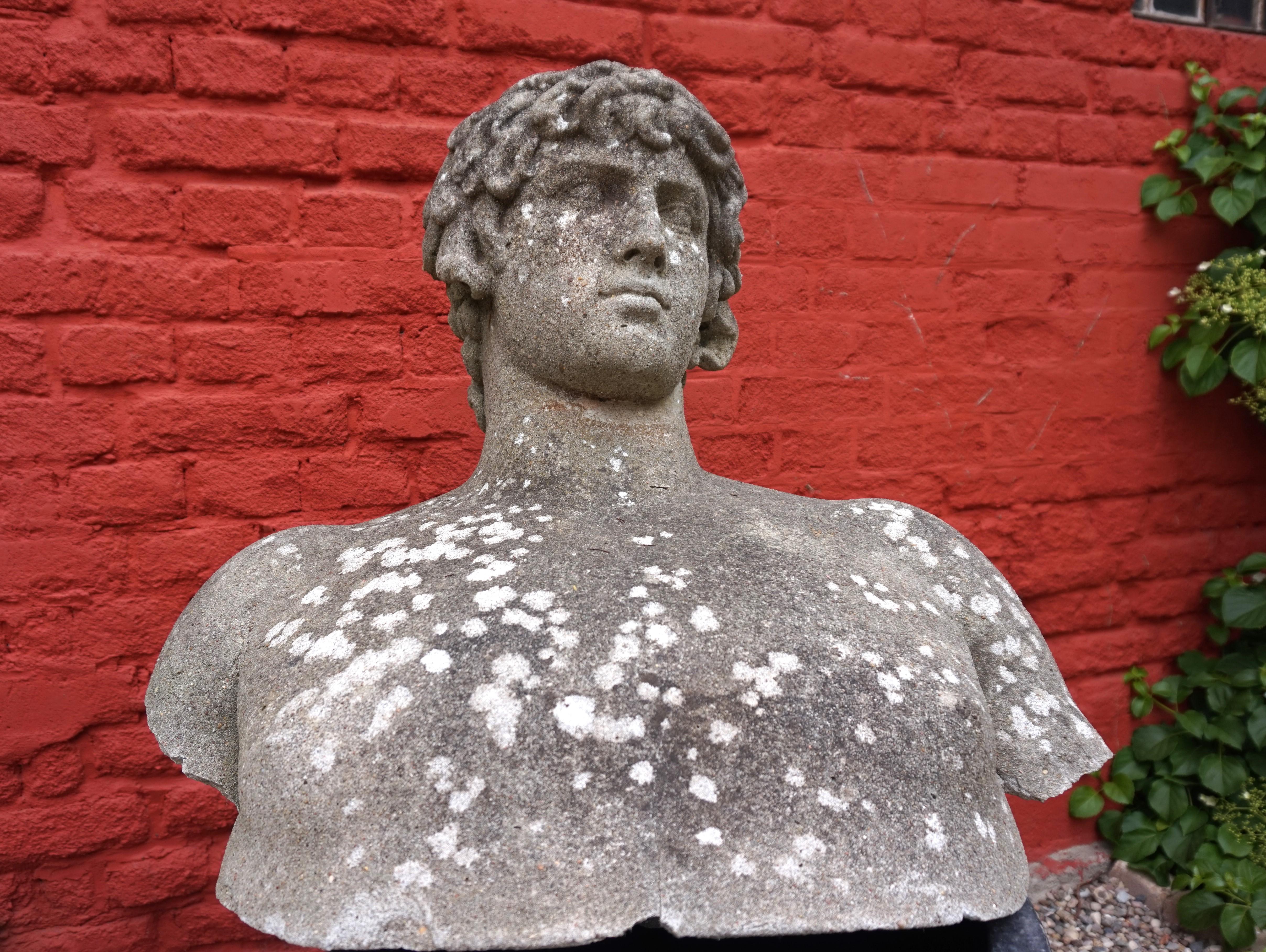 Weathered garden sculpture David concrete bust For Sale 8
