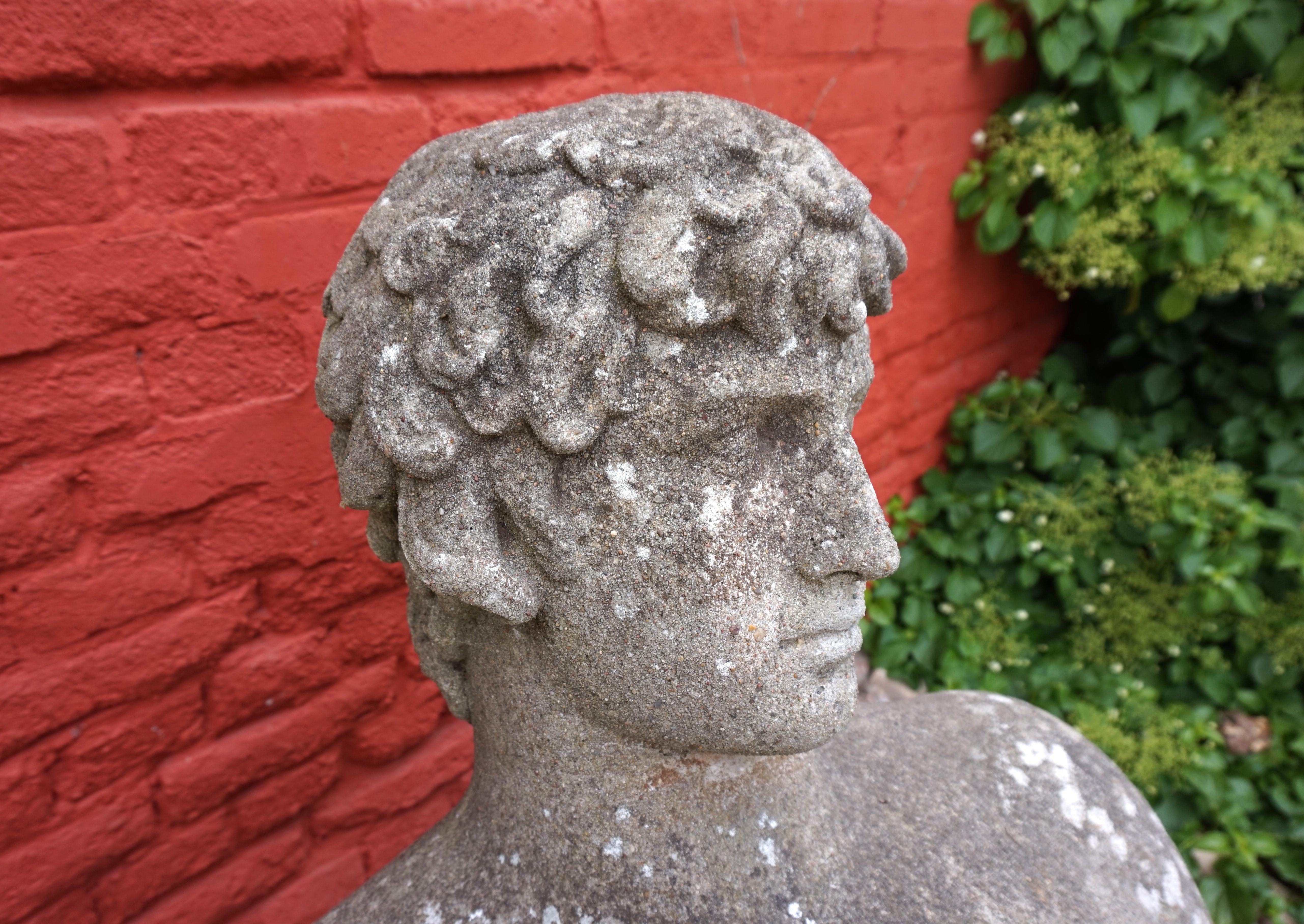 Weathered garden sculpture David concrete bust For Sale 9