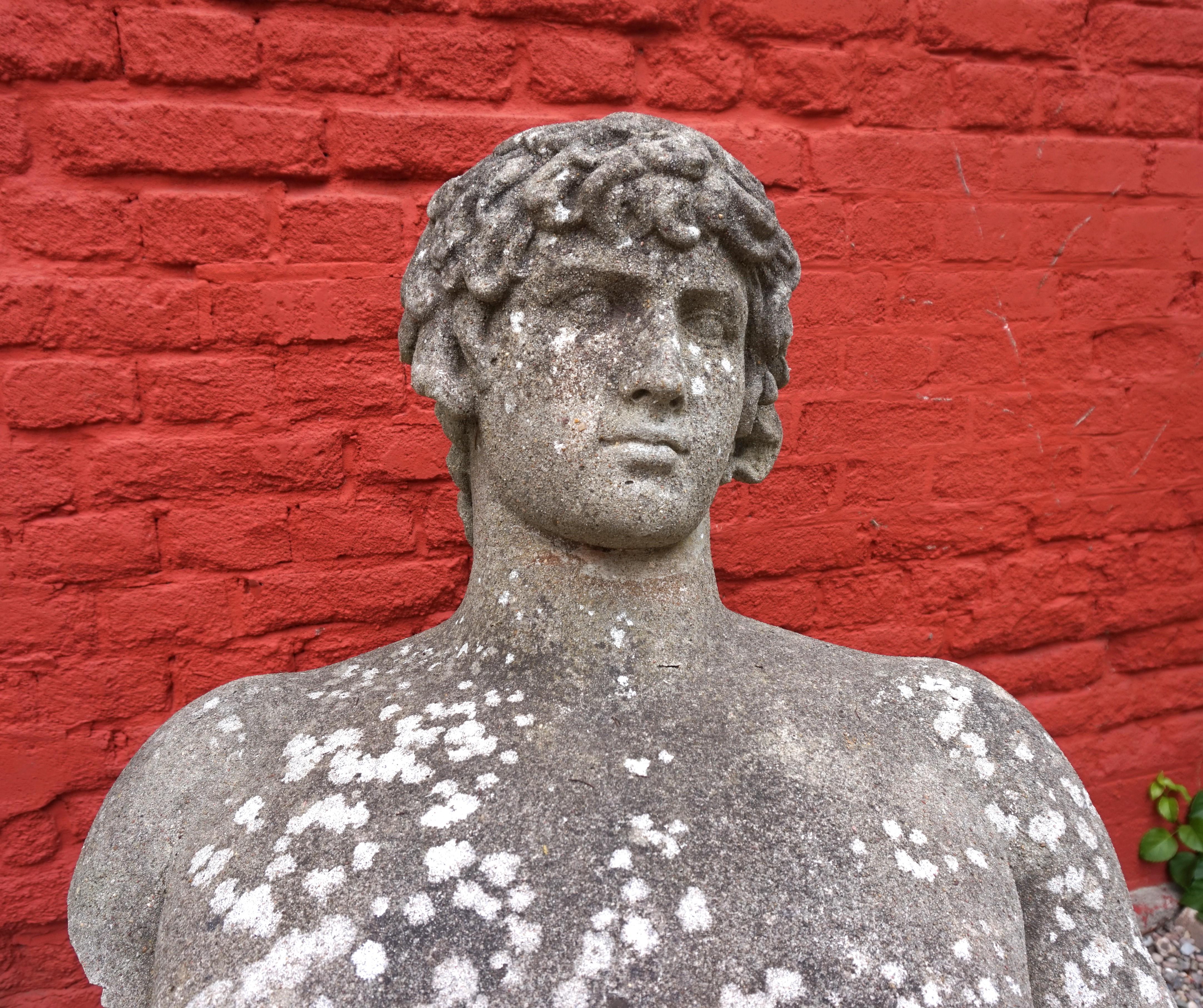 Weathered garden sculpture David concrete bust For Sale 11