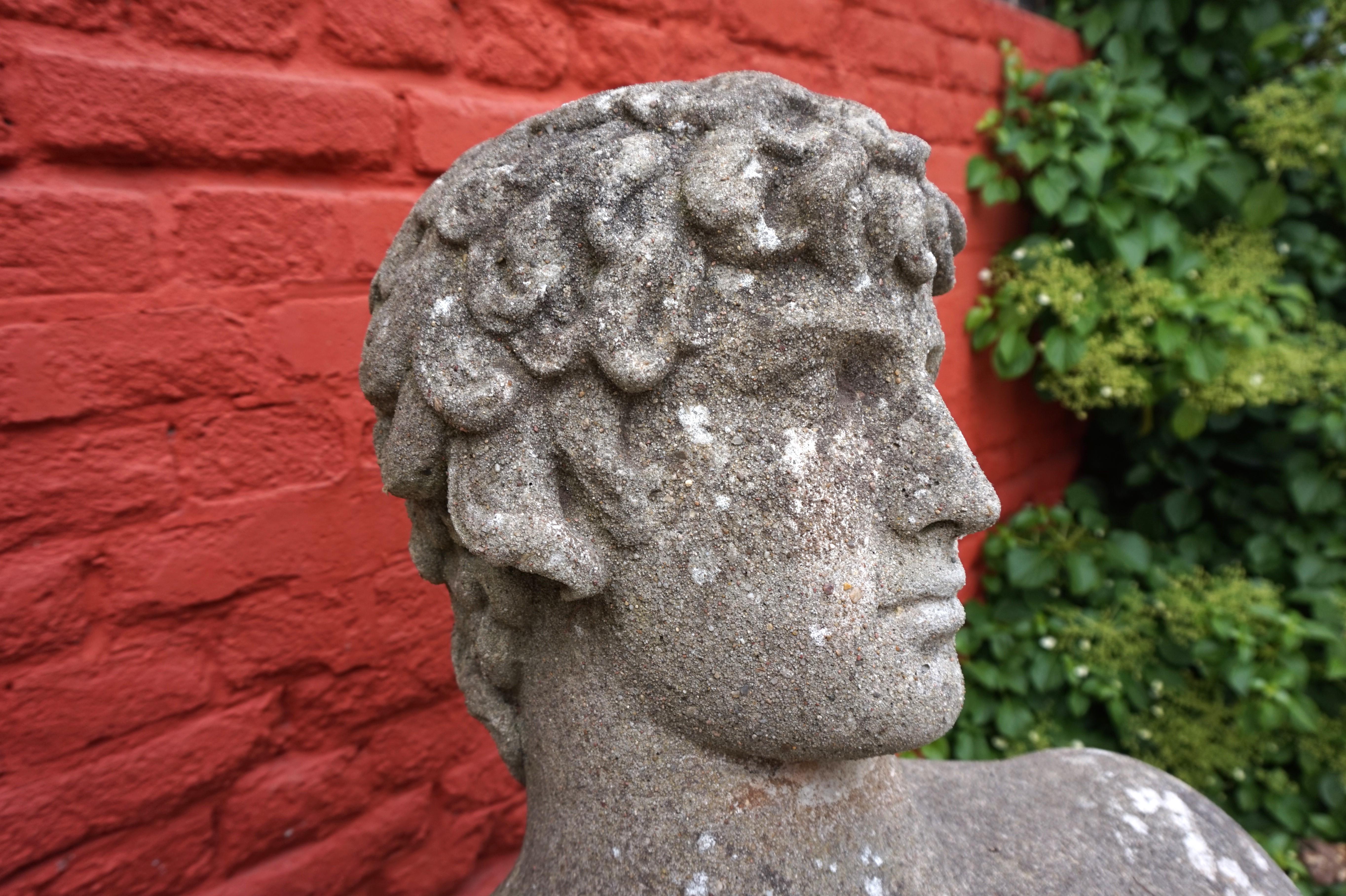 Weathered garden sculpture David concrete bust For Sale 12