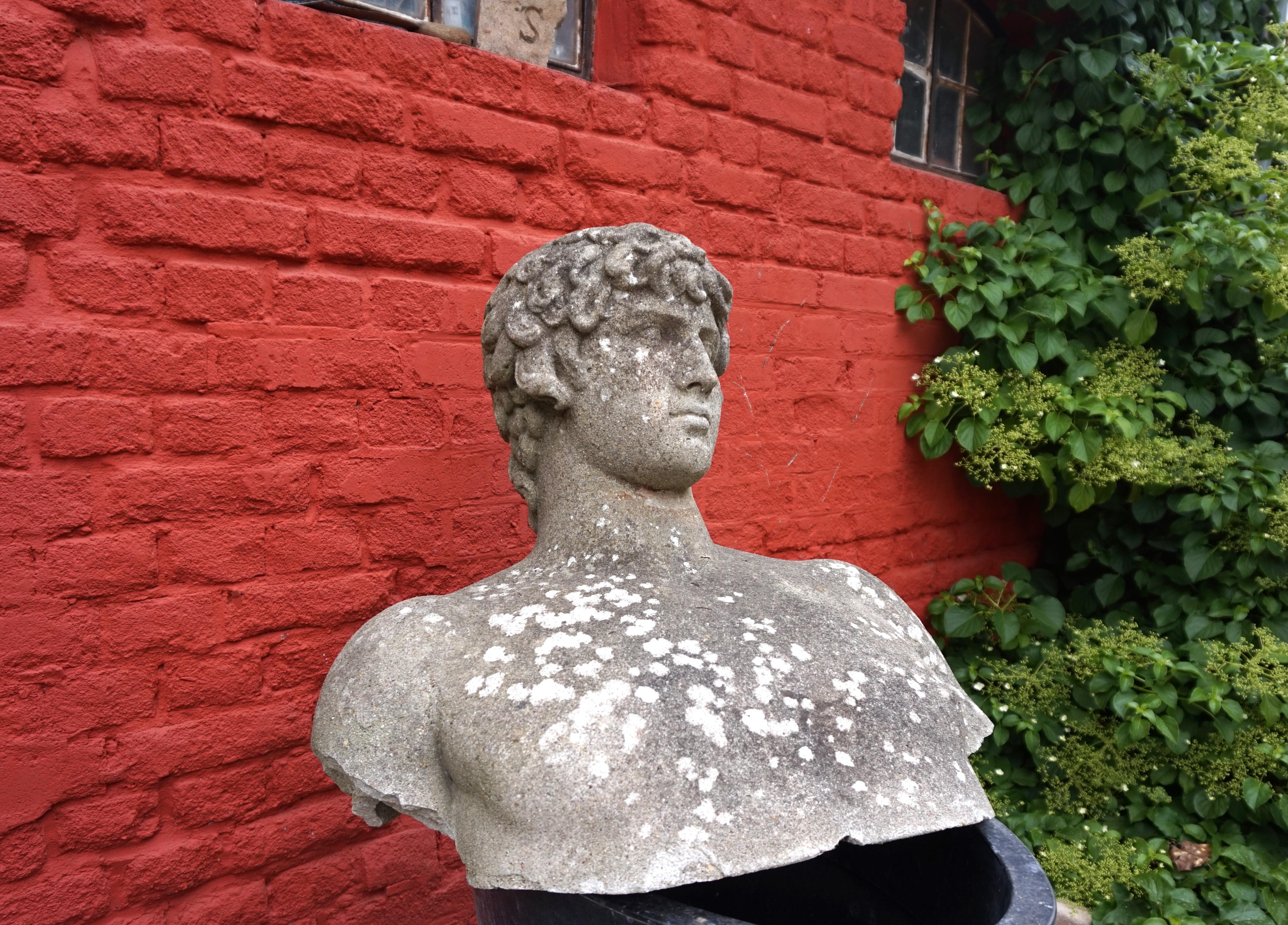 Fantastically weathered bust made of concrete in a depiction of David. Probably made in Germany in the 60s. The bust is partially open at the bottom and can also be mounted on an appropriate support.

Fits perfectly in a classically designed garden