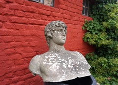 Weathered garden sculpture David concrete bust
