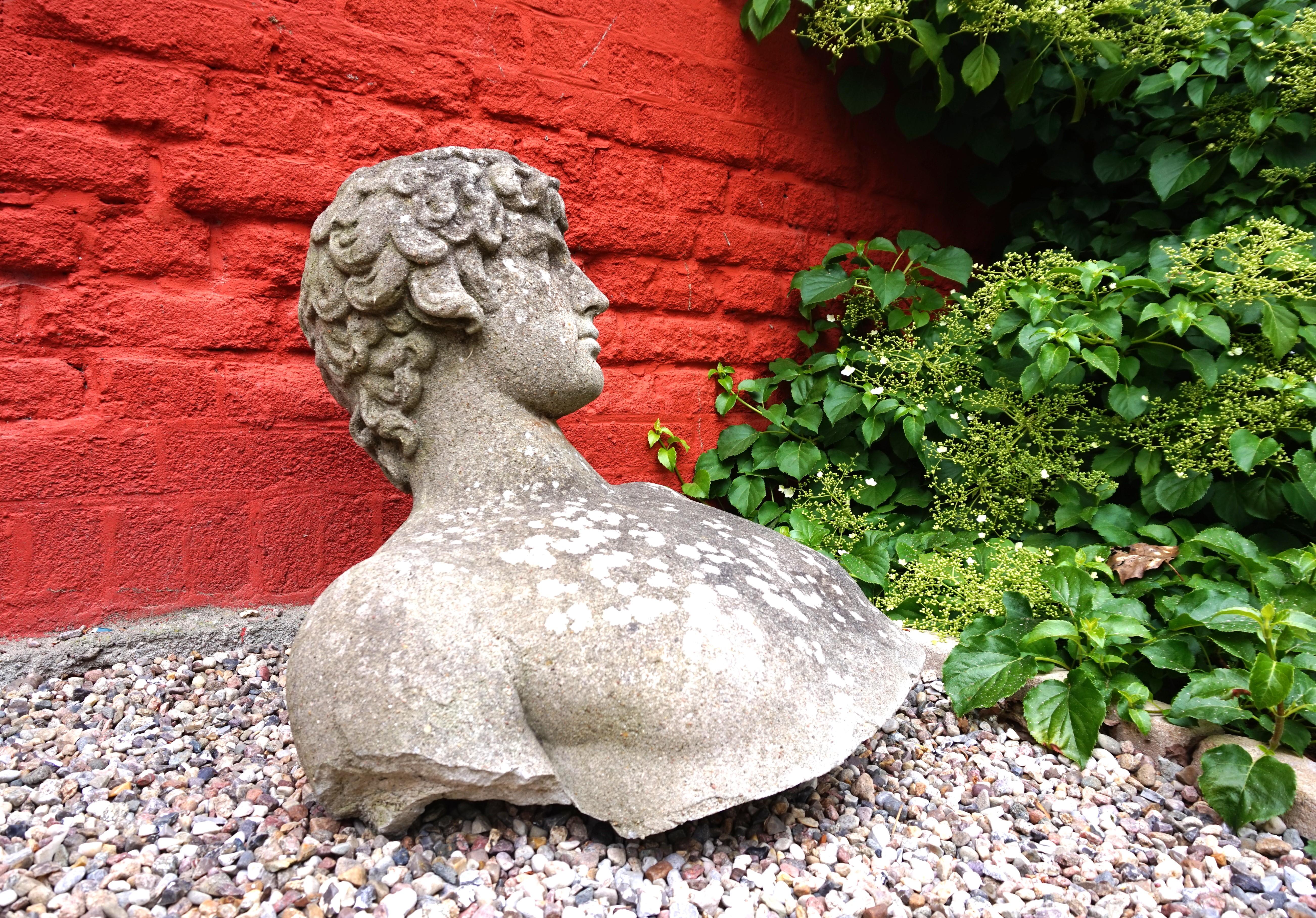 Weathered garden sculpture David concrete bust For Sale 13