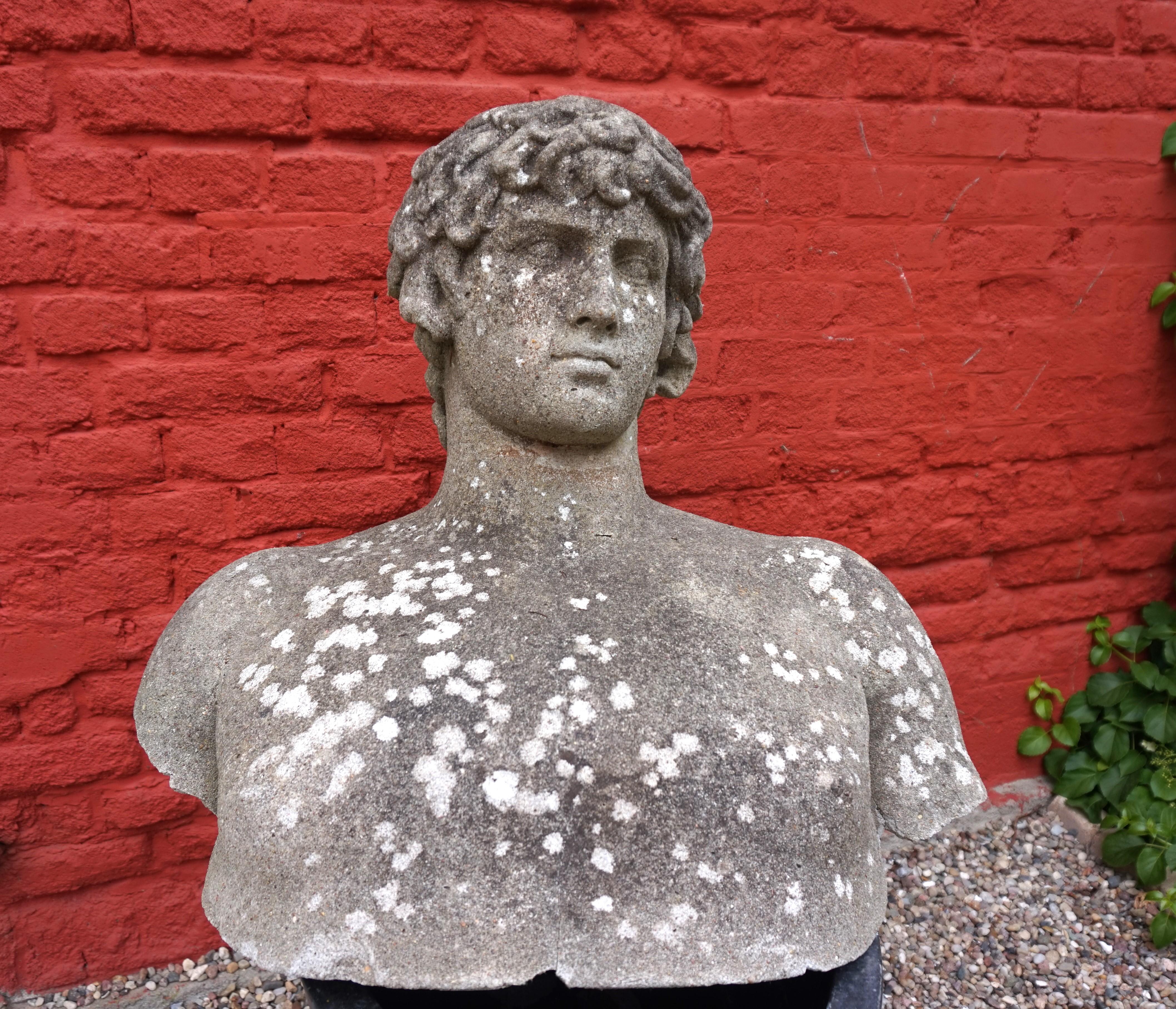 Classical Roman Weathered garden sculpture David concrete bust For Sale