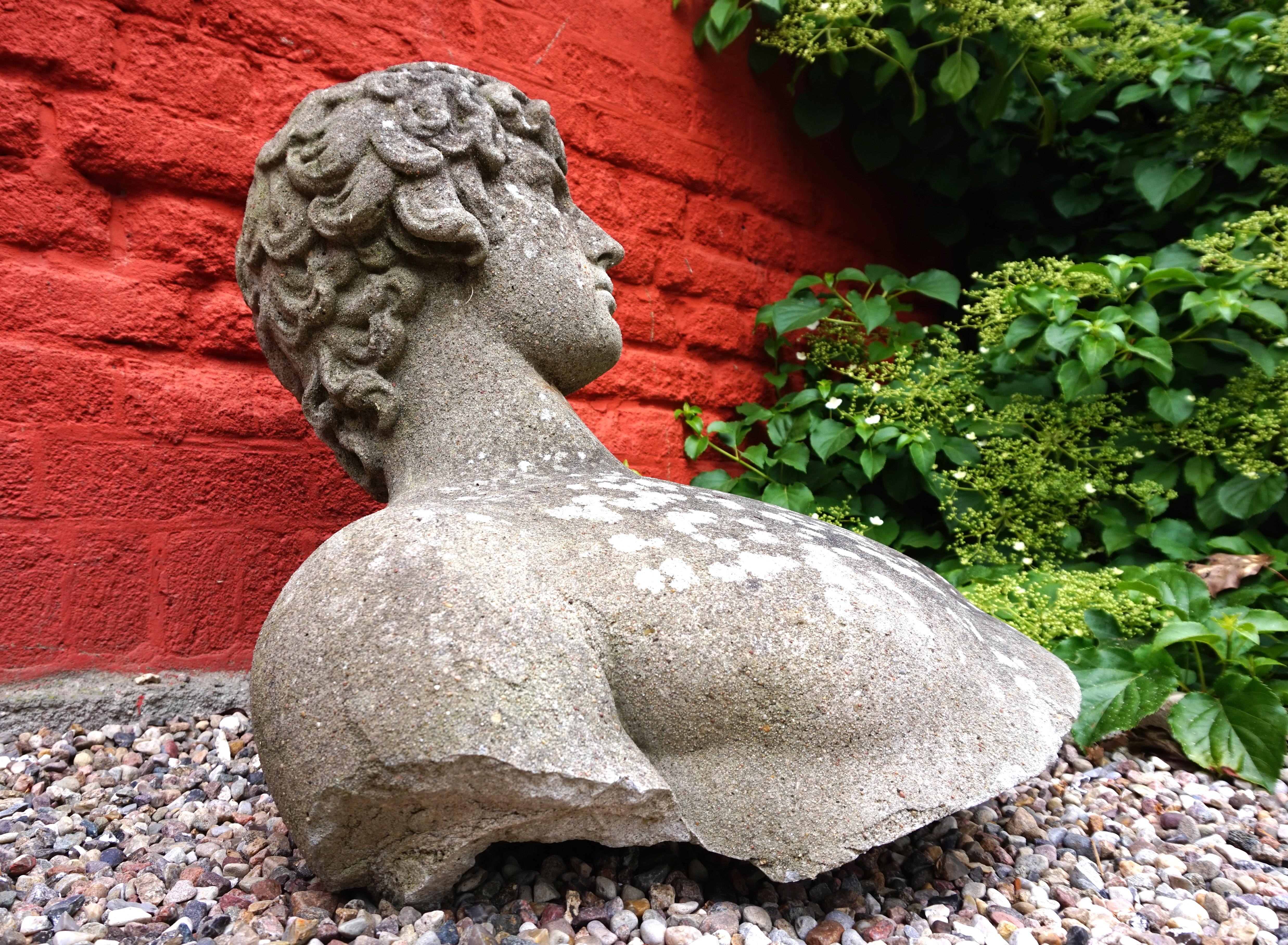 German Weathered garden sculpture David concrete bust For Sale