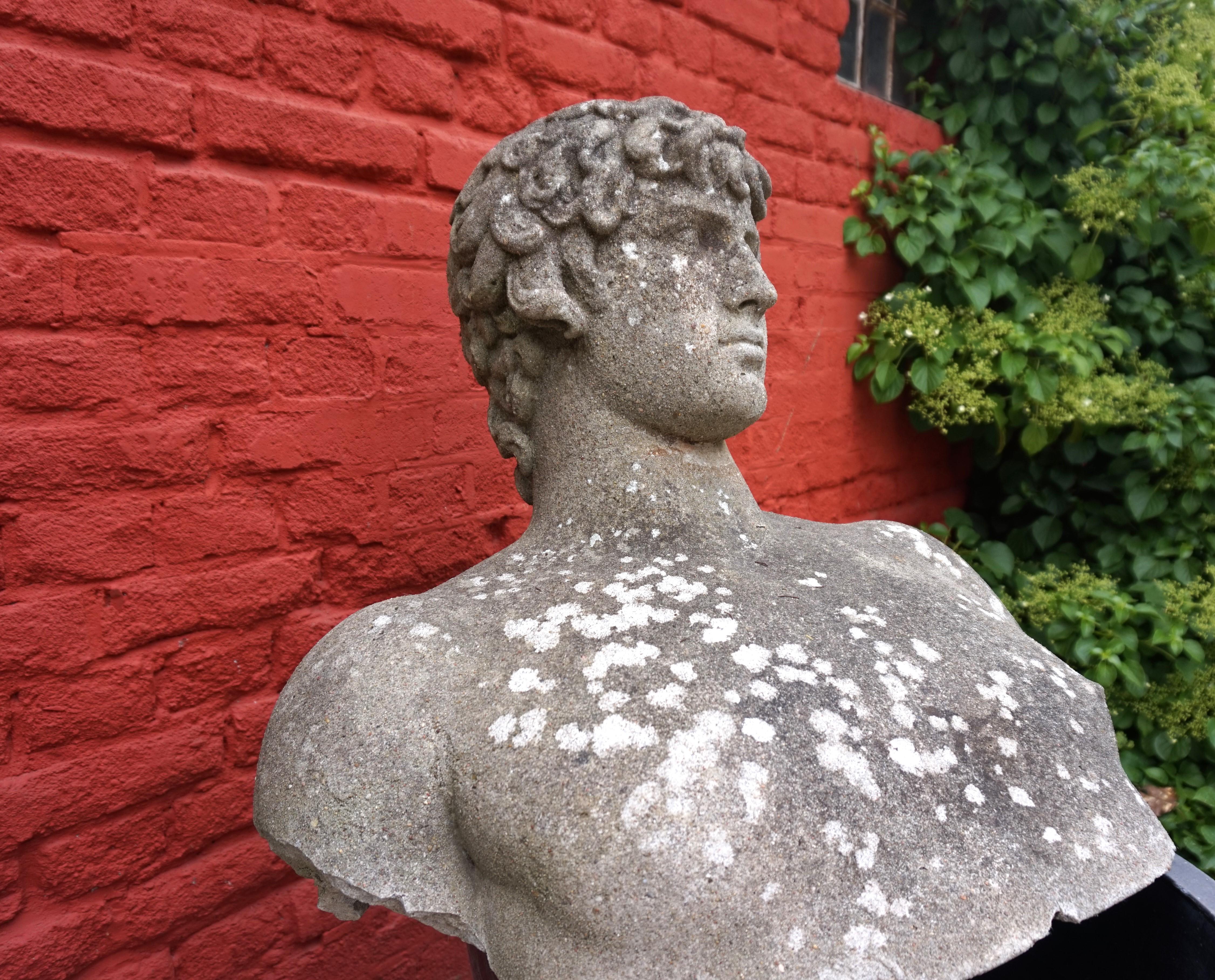 Mid-20th Century Weathered garden sculpture David concrete bust For Sale