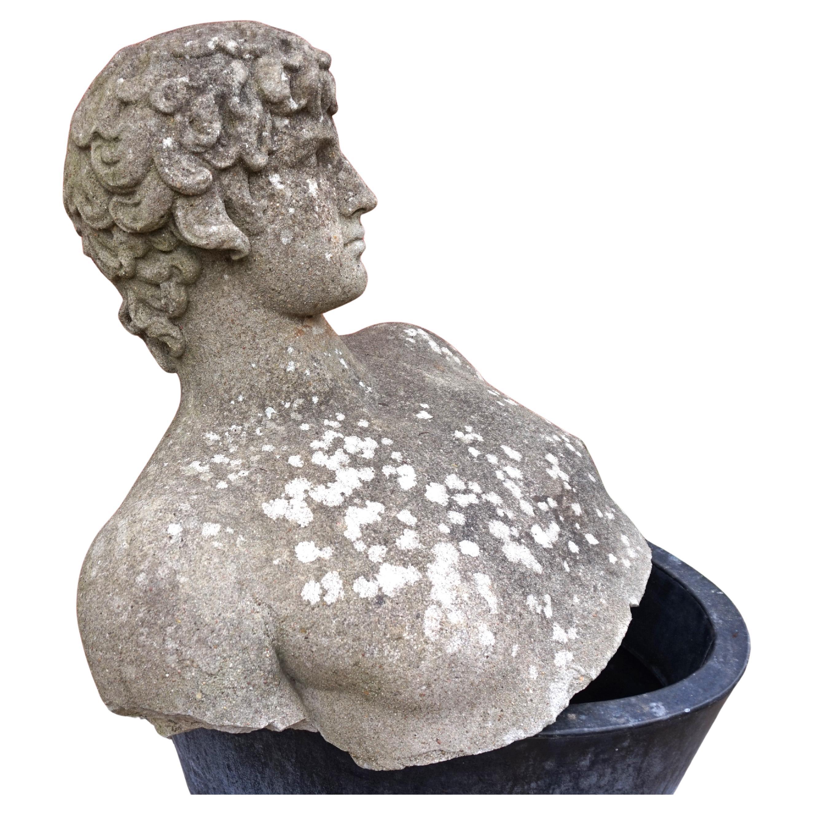 Escultura de jardín envejecida Busto de hormigón de David