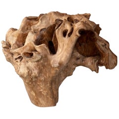 Weathered Skull Natural Wood Sculpture