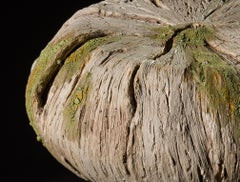 "Weathered Solifleur" - Stoneware Sculpture by Eric Serritella
