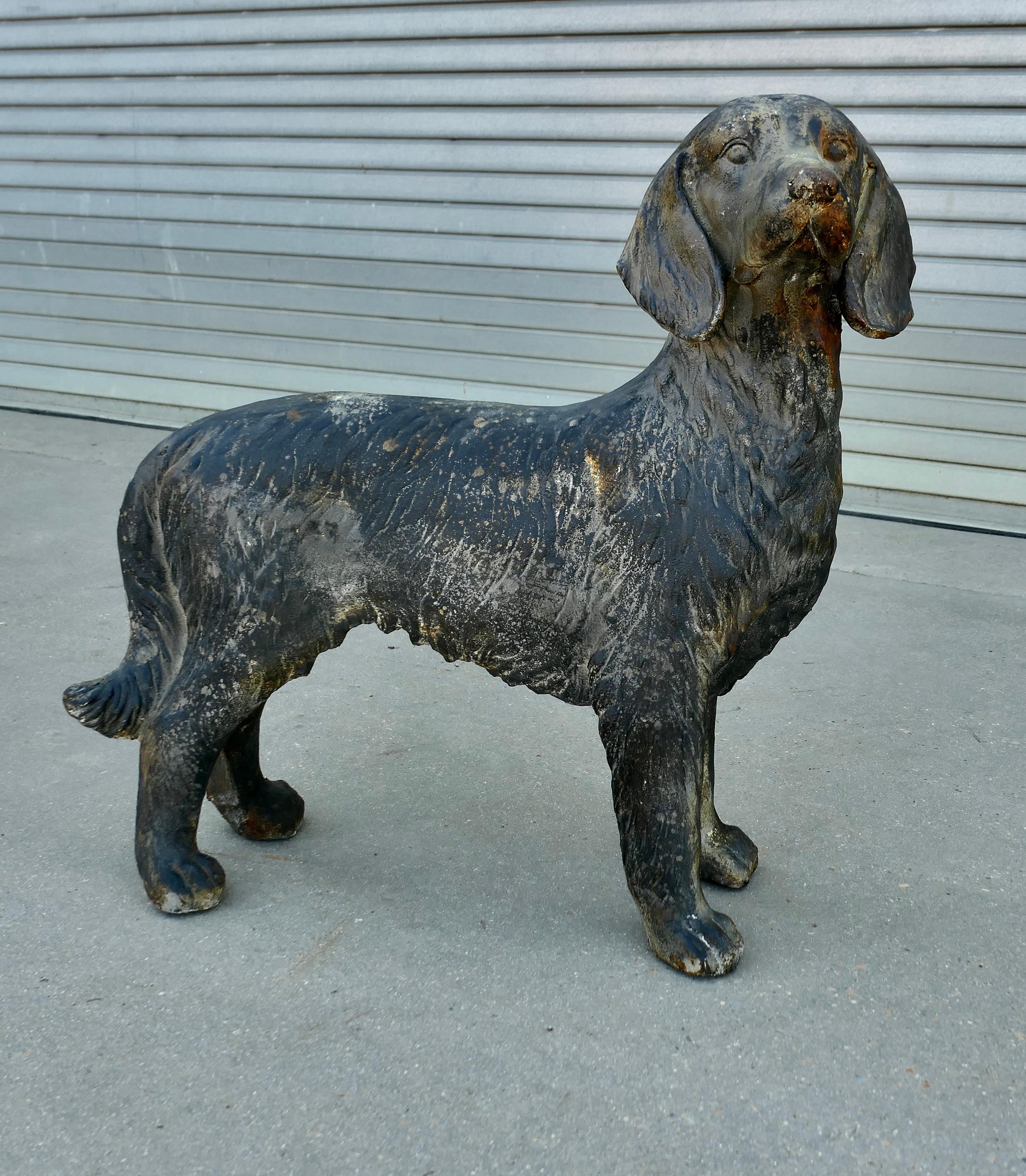 Statua in piedi di uno spaniel da caccia francese, danneggiata dalle intemperie

Questa bella statua è arrivata dalla Francia dove ha fatto la guardia fuori dai canili locali, questi animali sono molto famosi e popolari in Bretagna. 
Il nostro