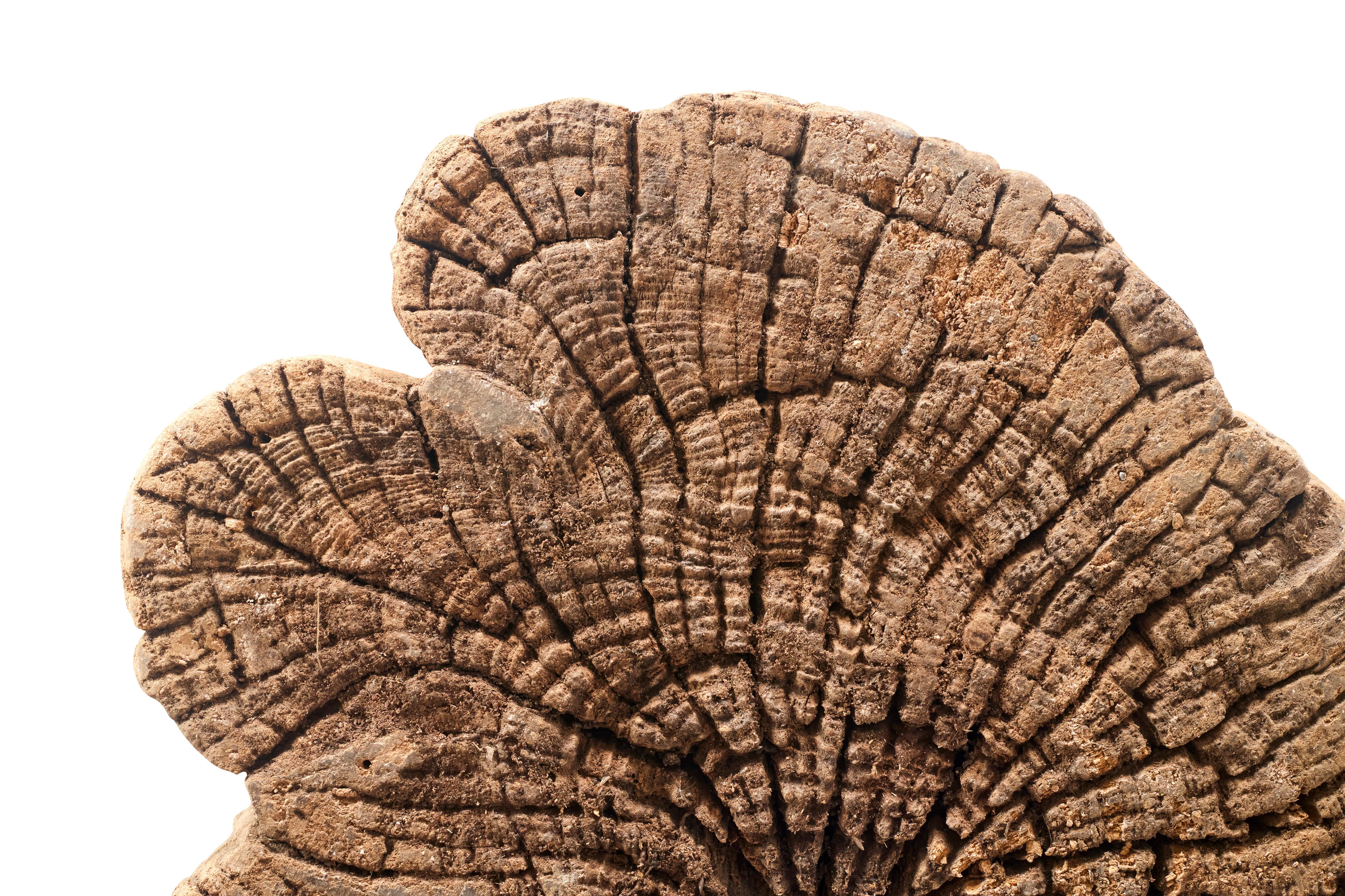 Weathered Teak Display Plinth or Table Base In Good Condition For Sale In Dallas, TX
