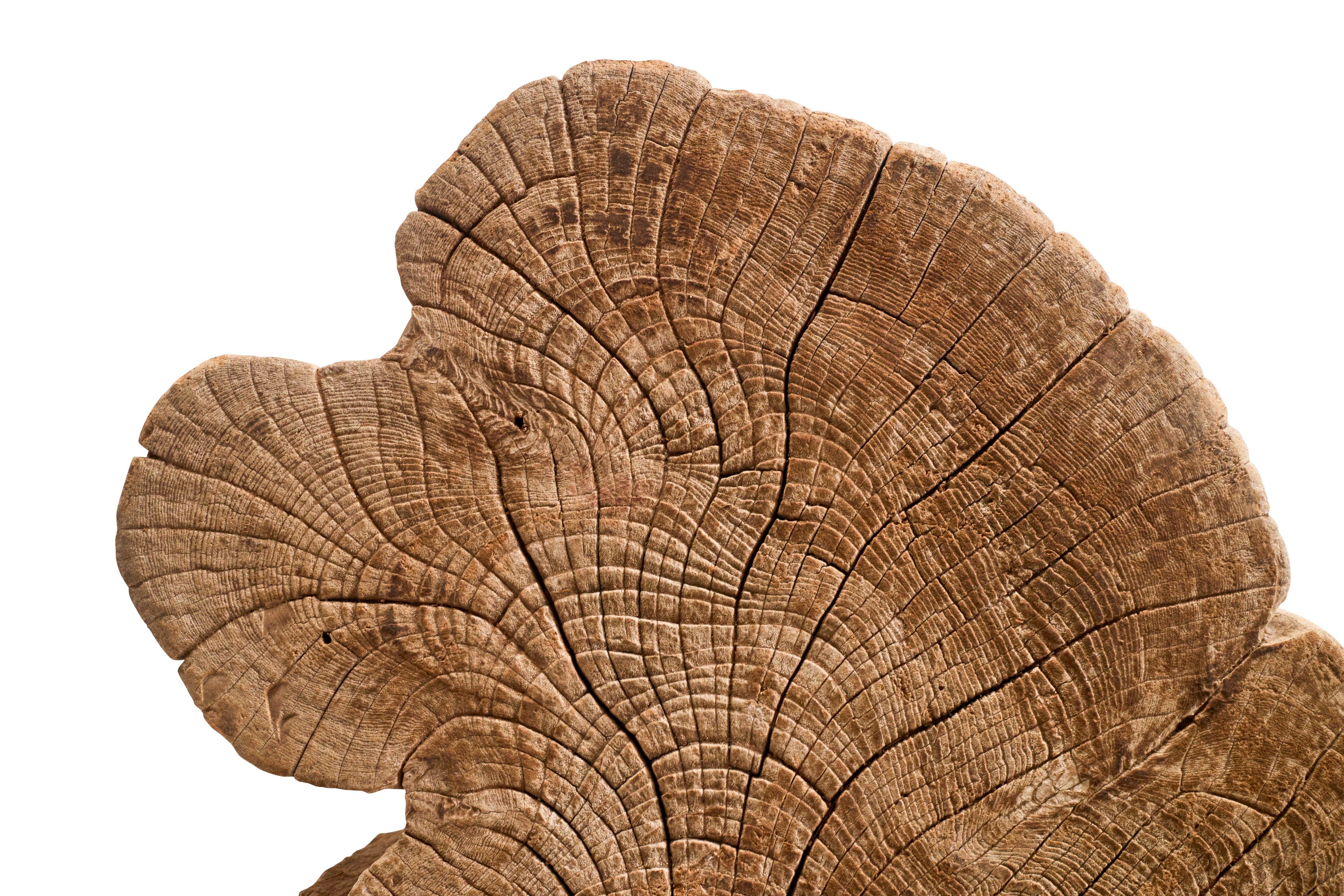 XX secolo Base per espositori o tavoli in teak invecchiato in vendita