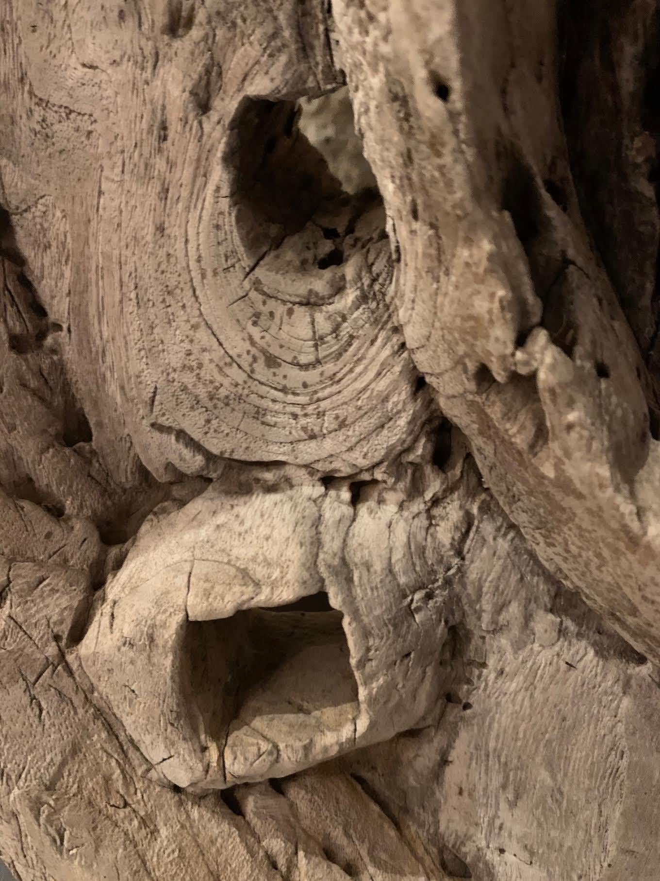 Sculpture de roue de chariot en bois vieilli, Inde, années 1920 Bon état - En vente à New York, NY