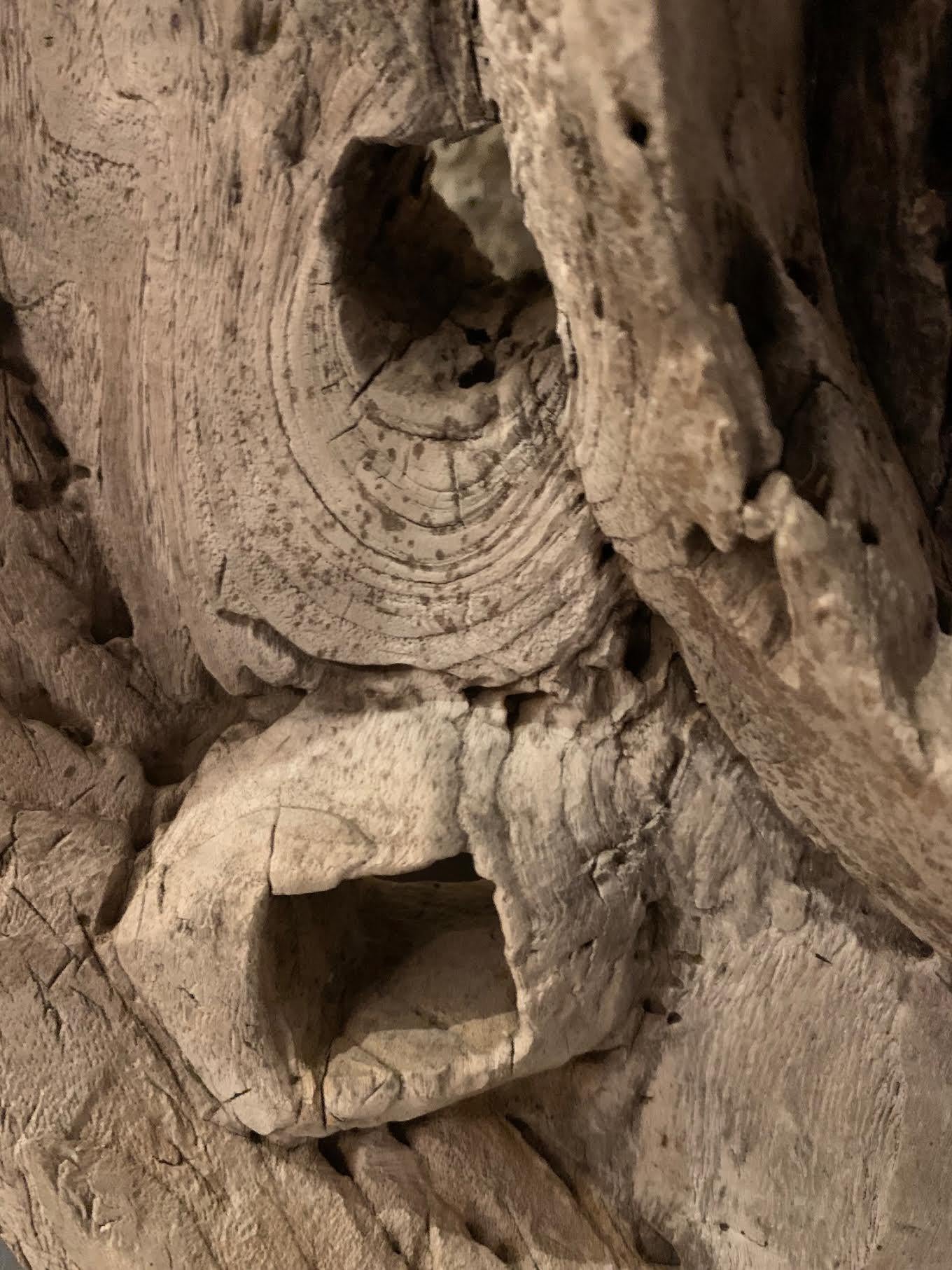 Weathered Wooden Chariot Wheel Sculpture, India, 1920s In Good Condition For Sale In New York, NY