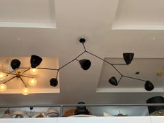 "Web" Chandelier by Le Lampade