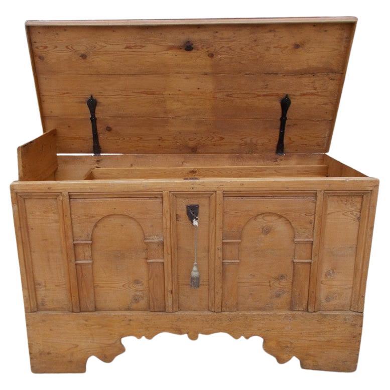 Wedding Chest, Mid-19th Century For Sale