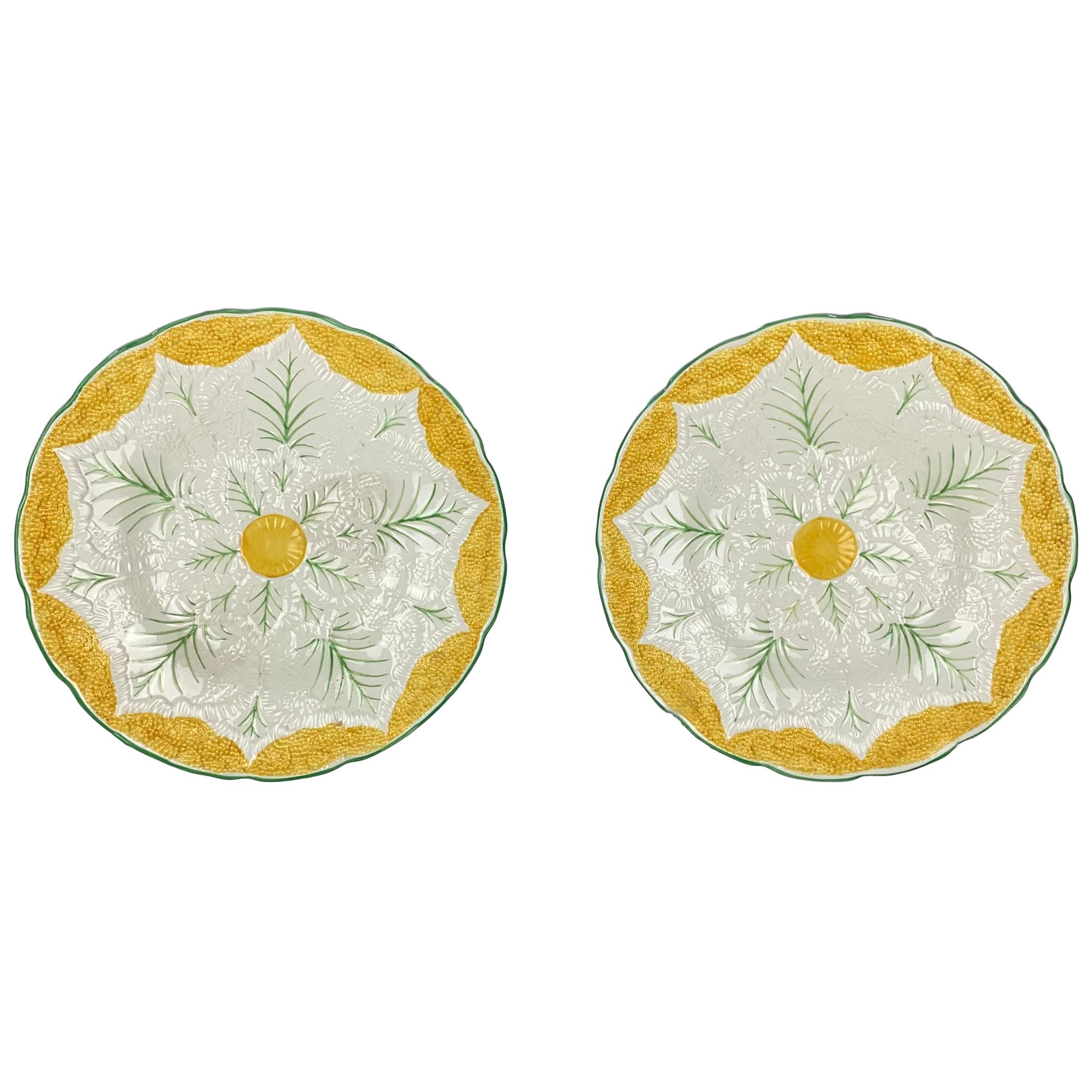 Wedgewood Majolica 1920s Cauliflower Plates