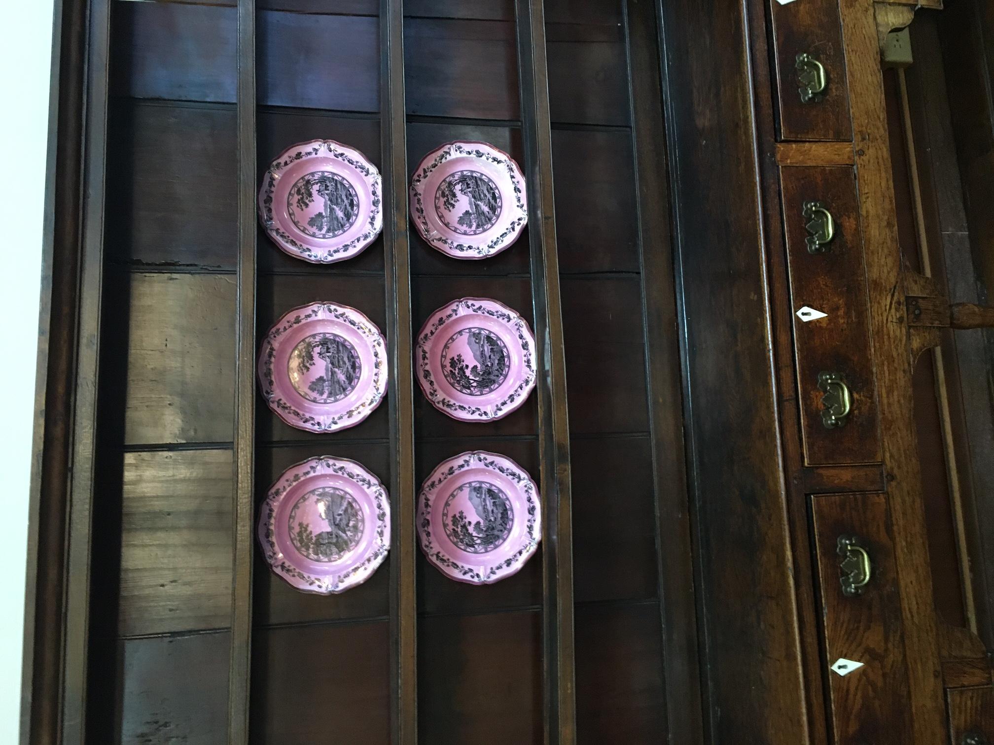 Wedgwood Bewick Etruria Pattern Set of Six English Pink Luster Plates For Sale 4