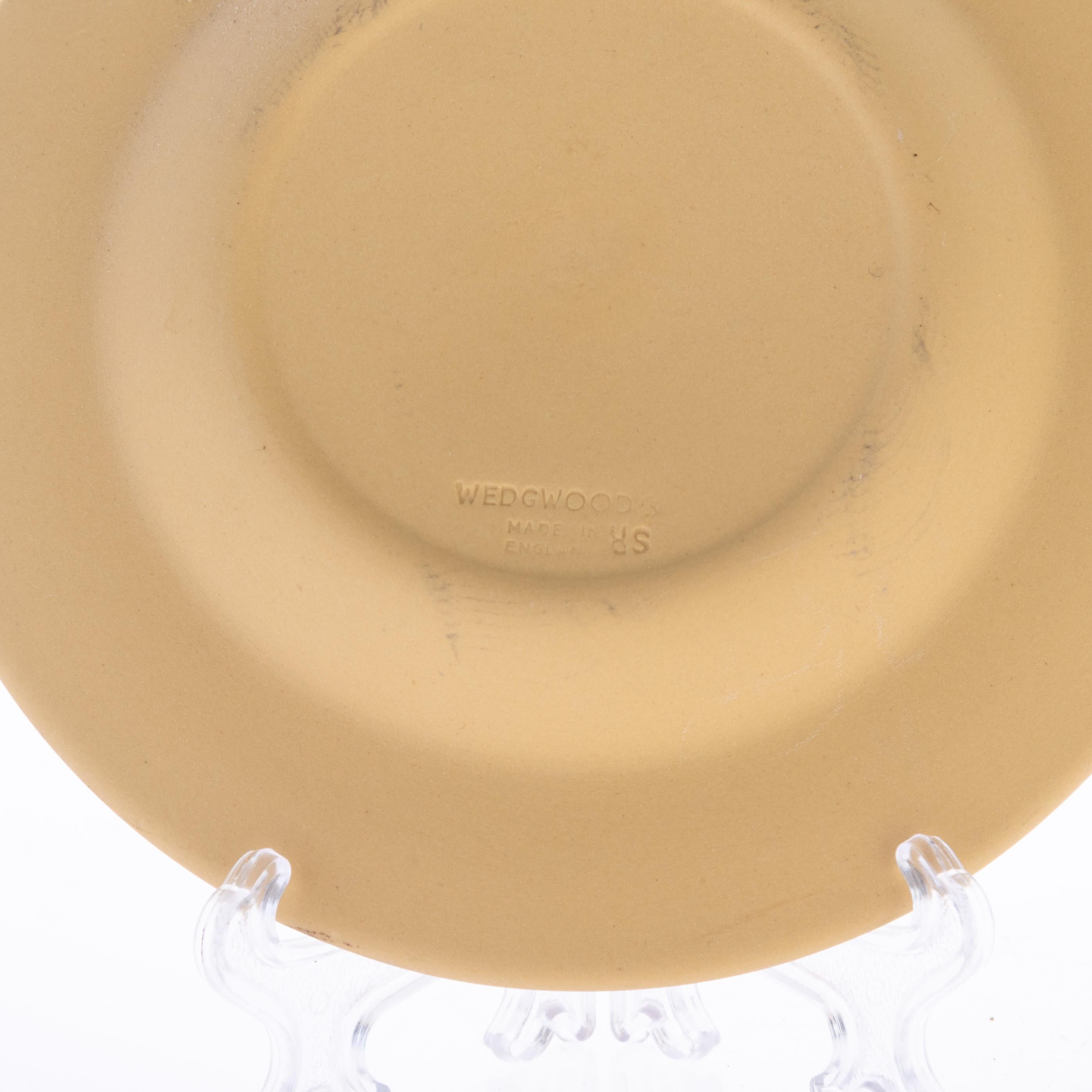 Plato camafeo de jaspe de caña de Wedgwood en venta 1