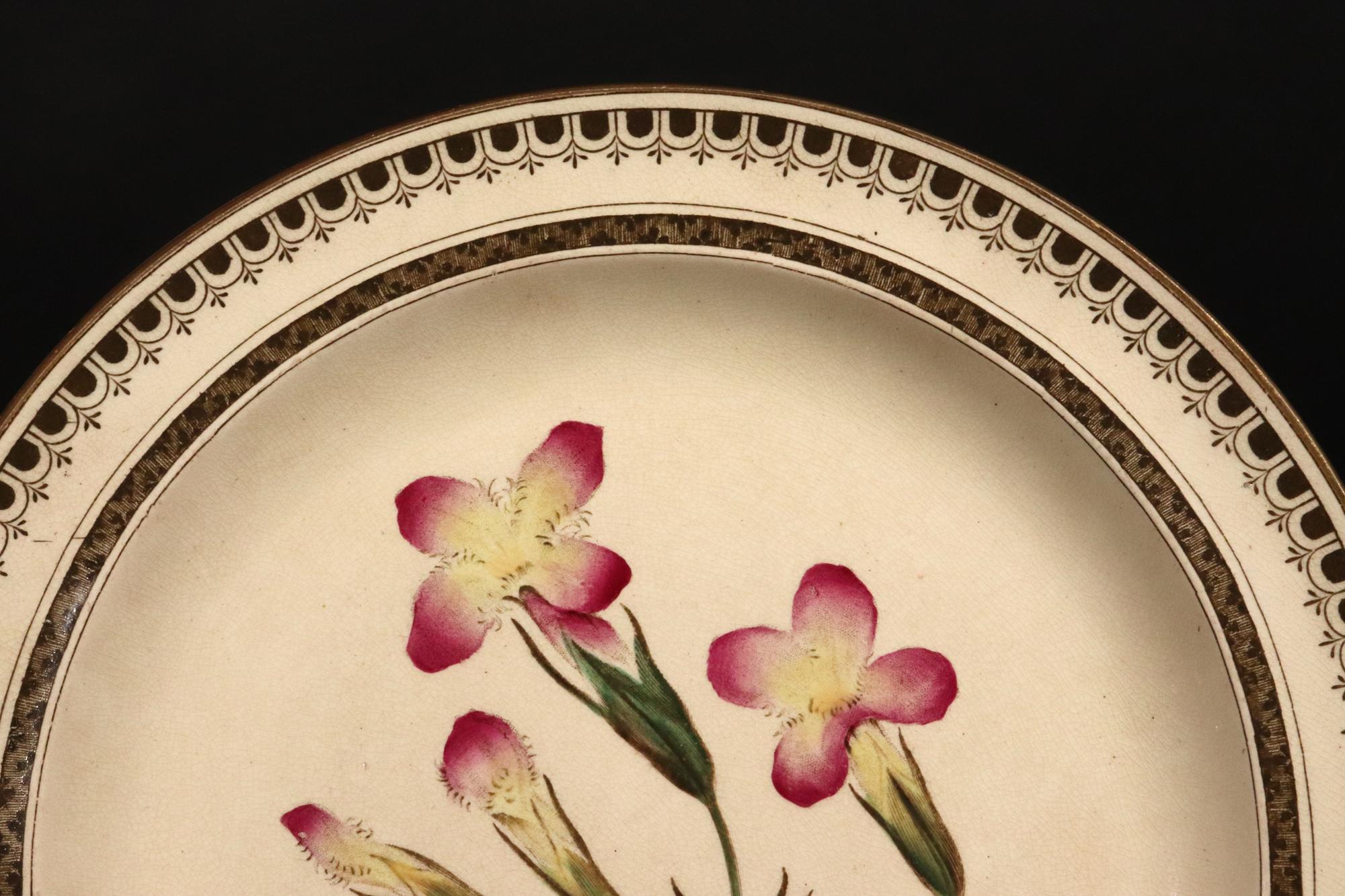 Plato Wedgwood Creamware con Planta de Iris,
1862.

El plato de cerámica Wedgwood de color crema está pintado en el pozo central con cuatro plantas de Iris -dos abiertas y dos cerradas- sobre sus tallos ondulados.

El borde con un atractivo diseño