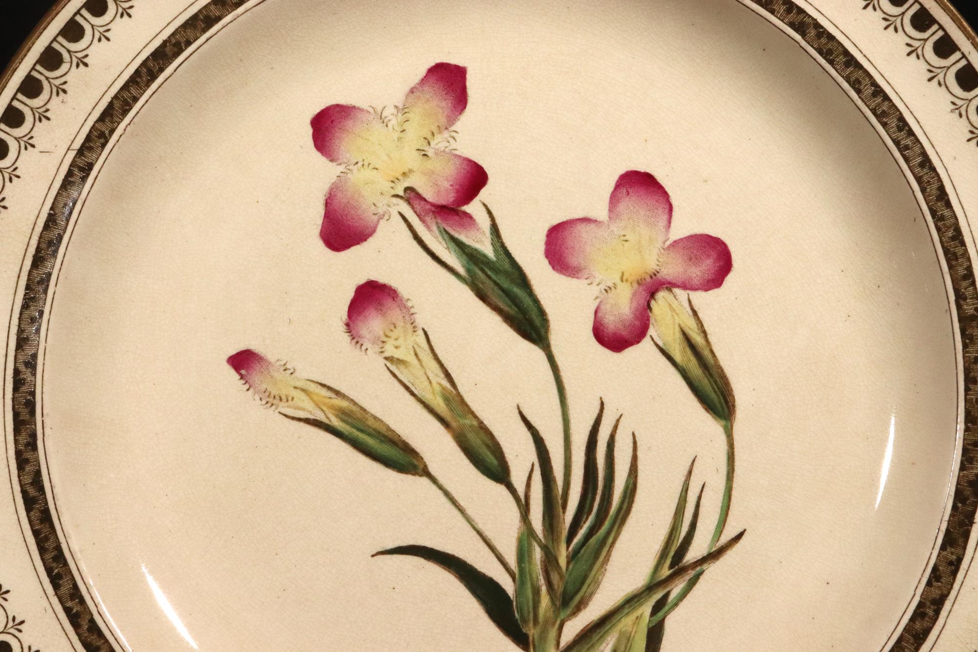 Plato de cerámica cremosa Wedgwood con planta de lirio Inglés en venta