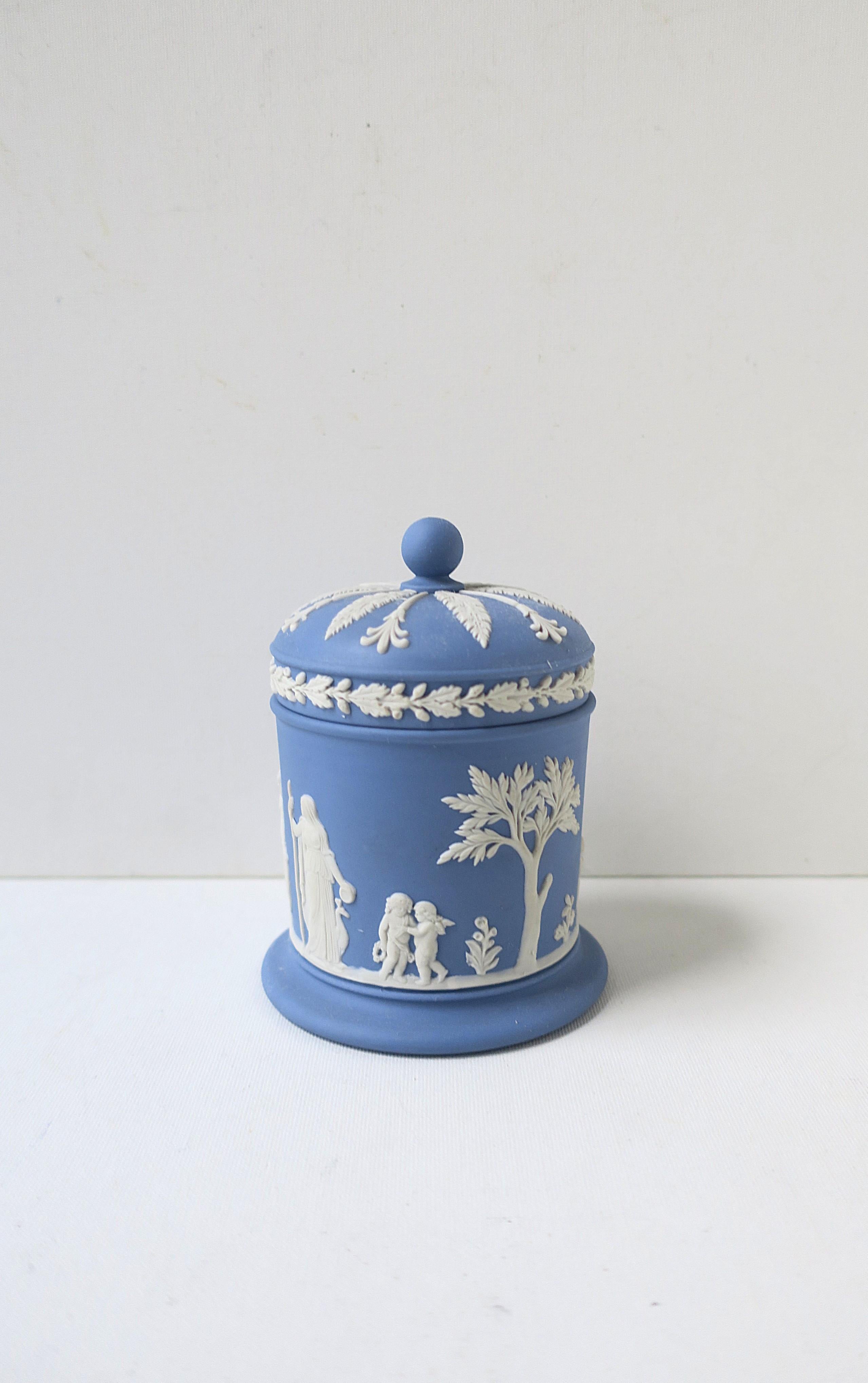 Inglese Scatola in diaspro di Wedgwood in stile neoclassico in vendita