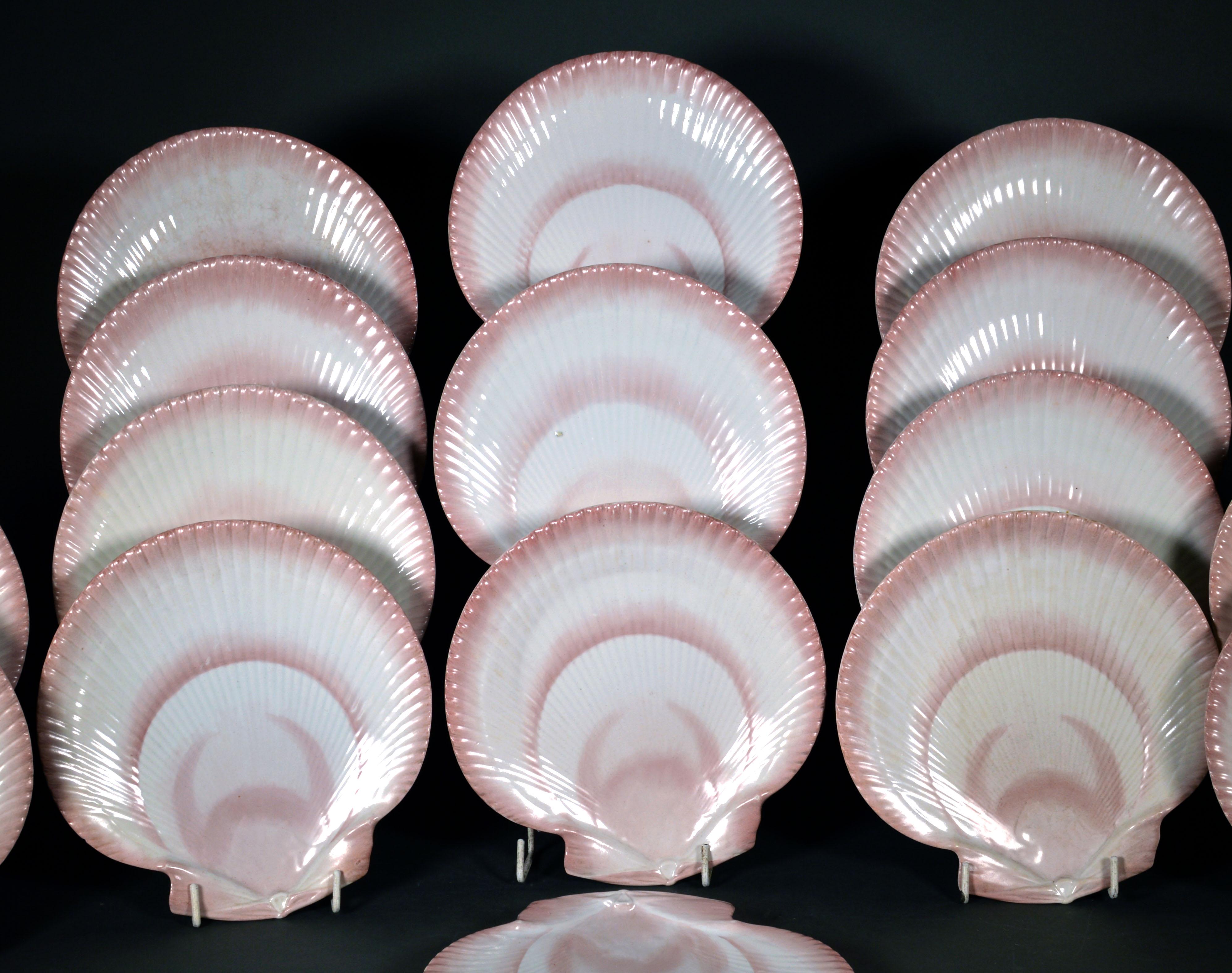 seashell plates