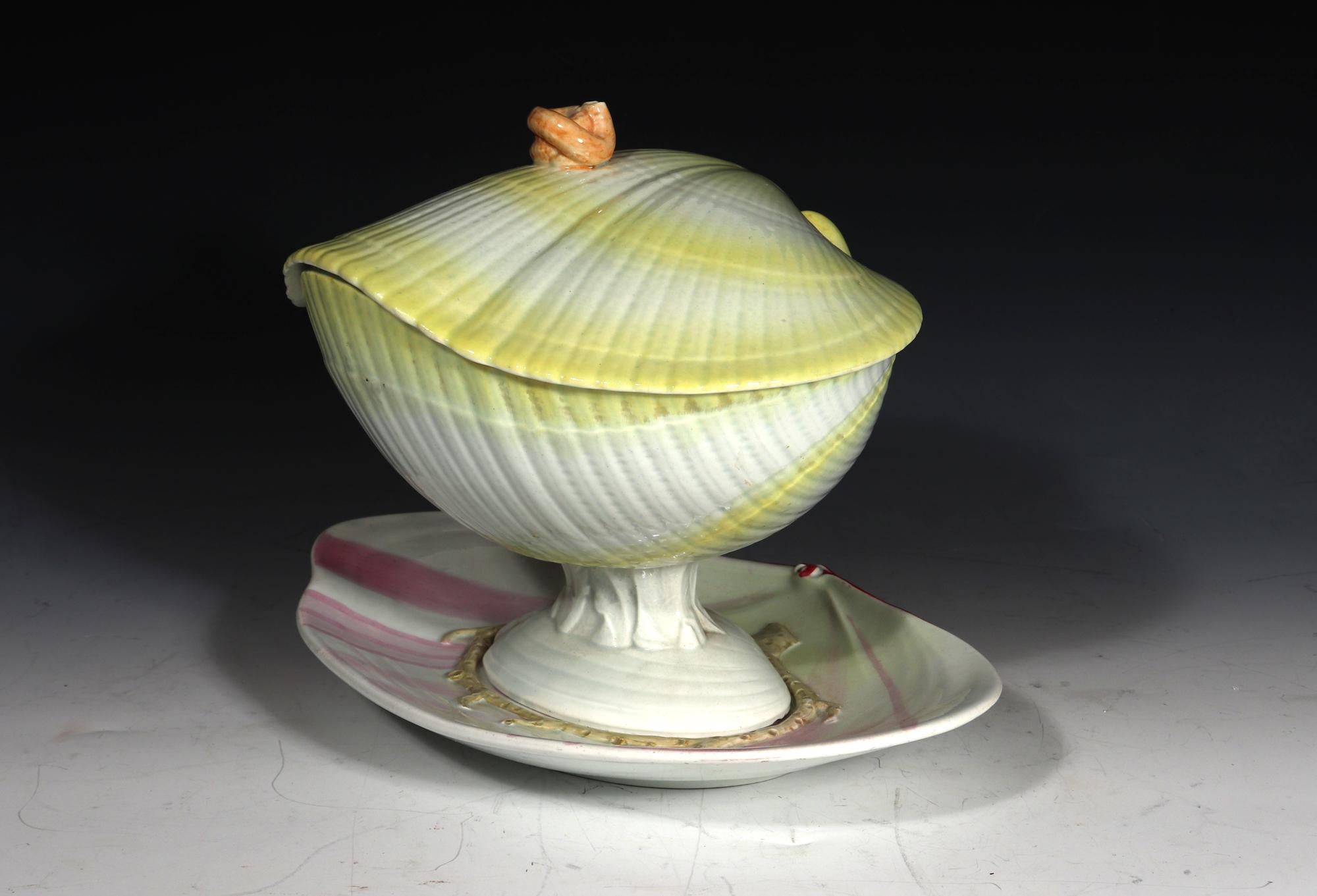 Wedgwood Nautilus sauce Tureen, cover & stand with Rare Yellow Color,
Circa 1790

The Wedgwood pearlware pottery sauce tureen, cover & stand is painted in shades of pink and yellow.  The yellow is a very rare colour to find.  The tureen is made