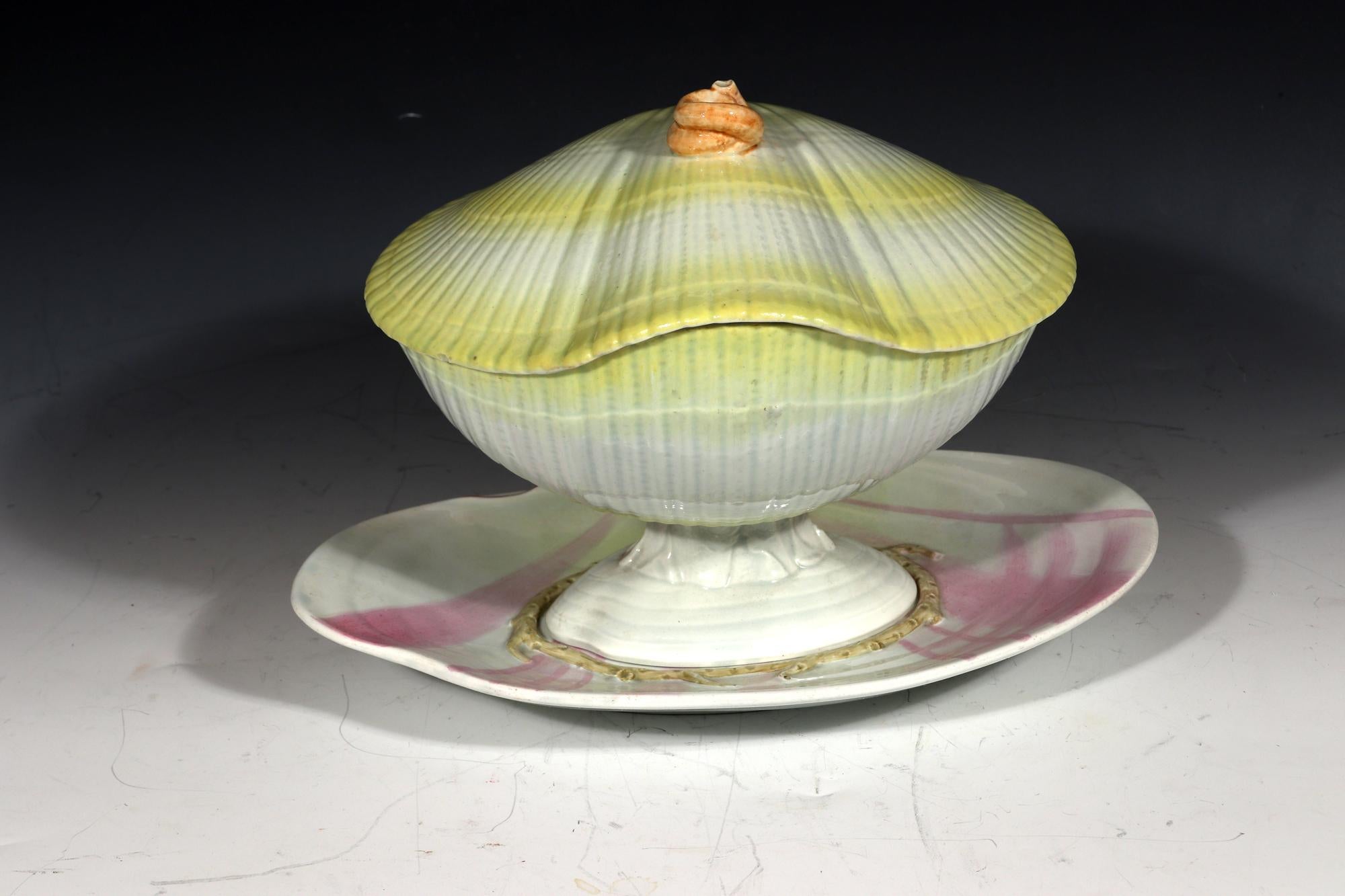 Wedgwood Amarillo Cerámica Nautilus Concha de Mar Sopera, Tapa y Soporte siglo XVIII en venta