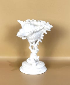 Wedgwood Porcelain Conch Shell & Coral Decorative Bowl or Table Sculpture