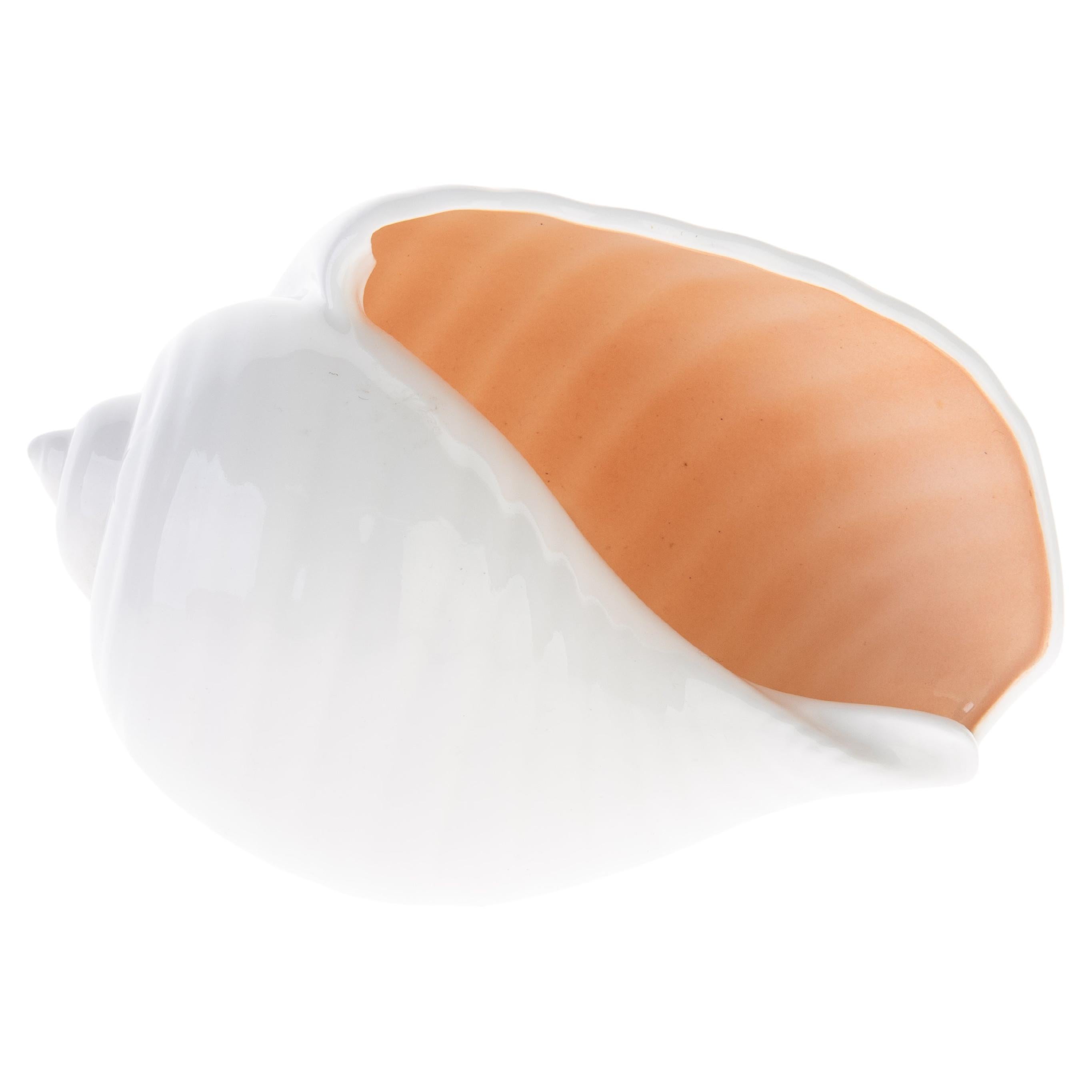 Wedgwood Porcelana Nautilus Concha Cuenco Centro de Mesa Jarrón