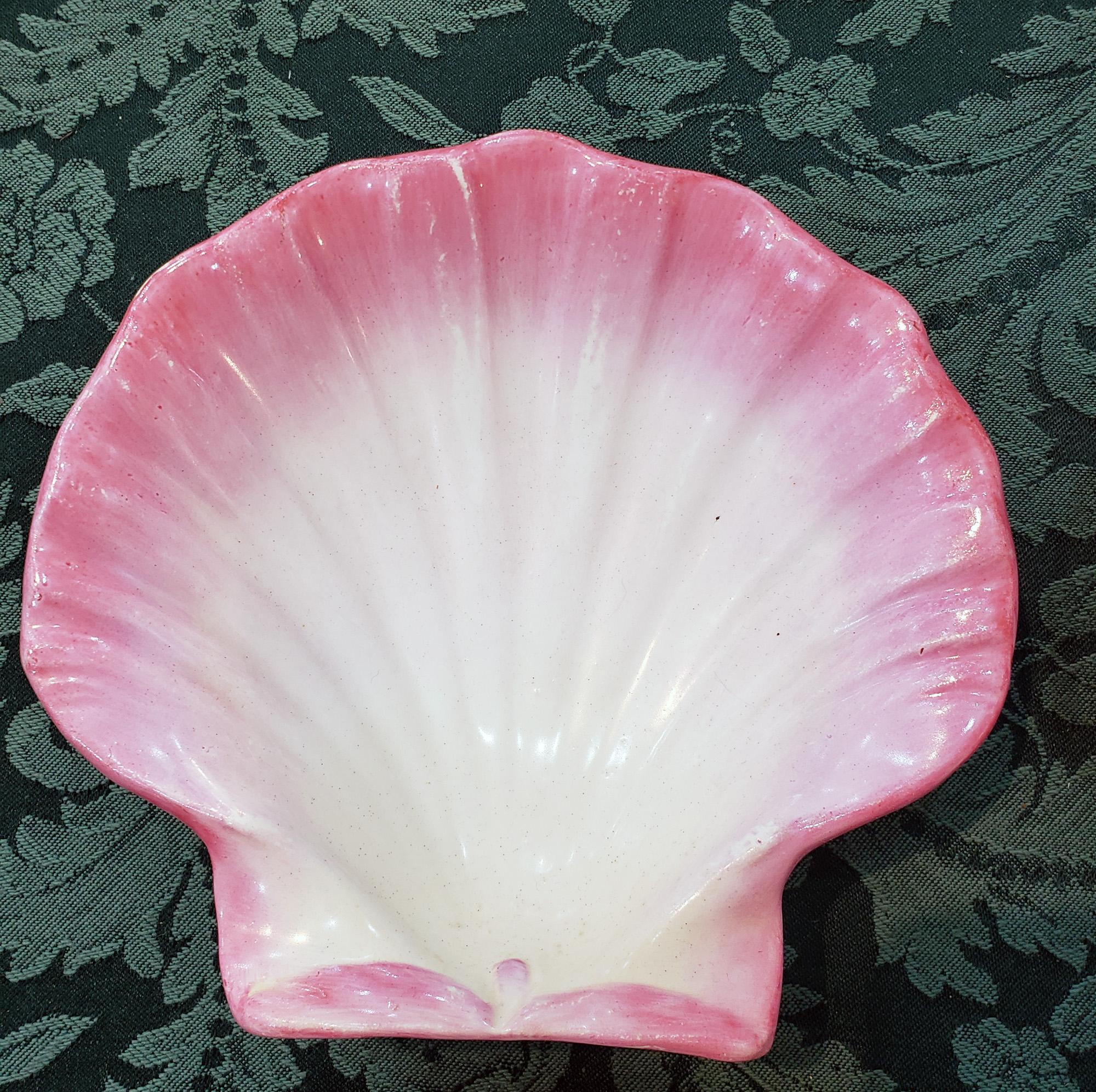 scallop shell plate