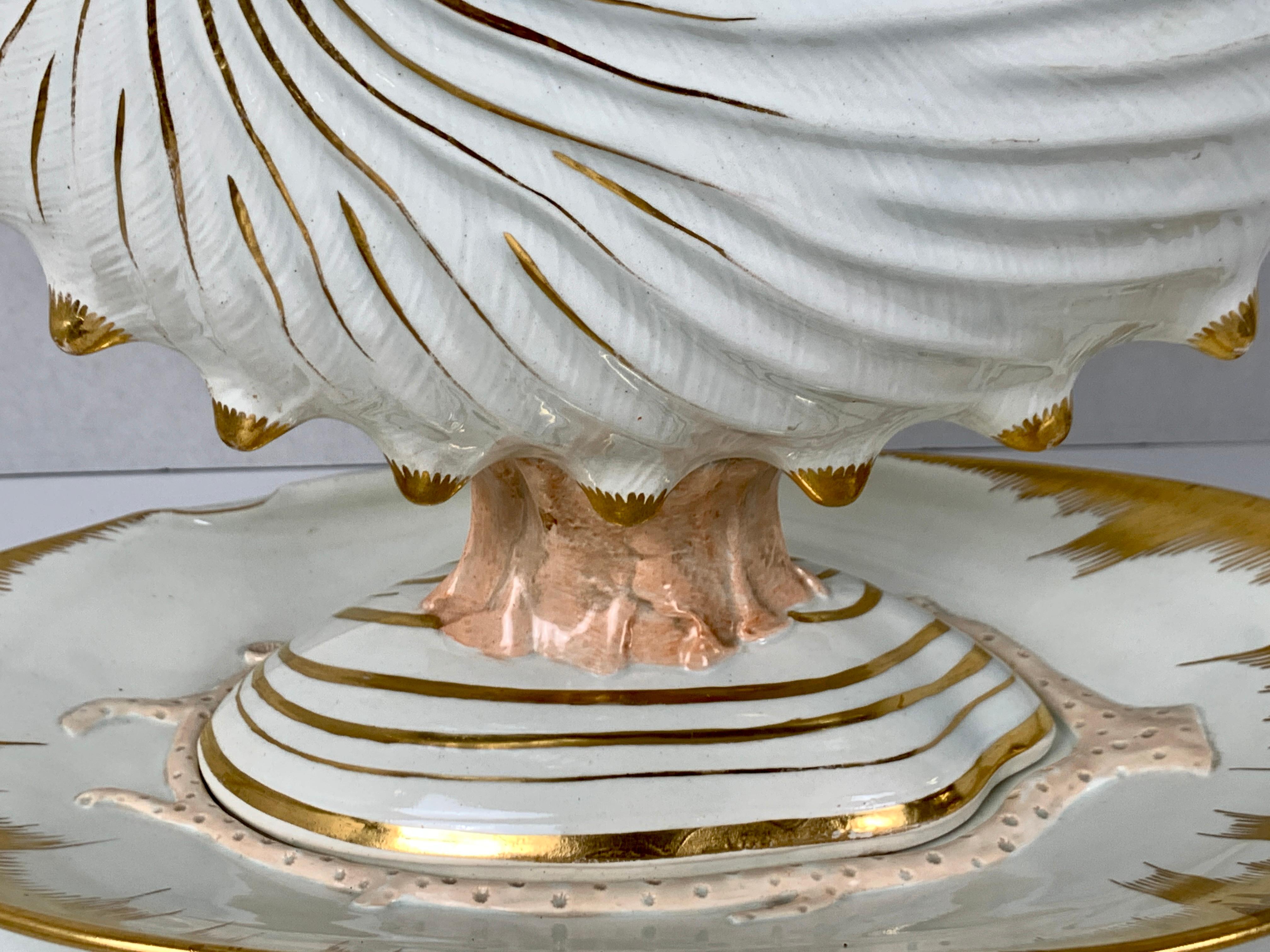 Wedgwood Set with Scallop Shell Shaped Dishes, Clam Shaped Tureens & a Nautilus 2