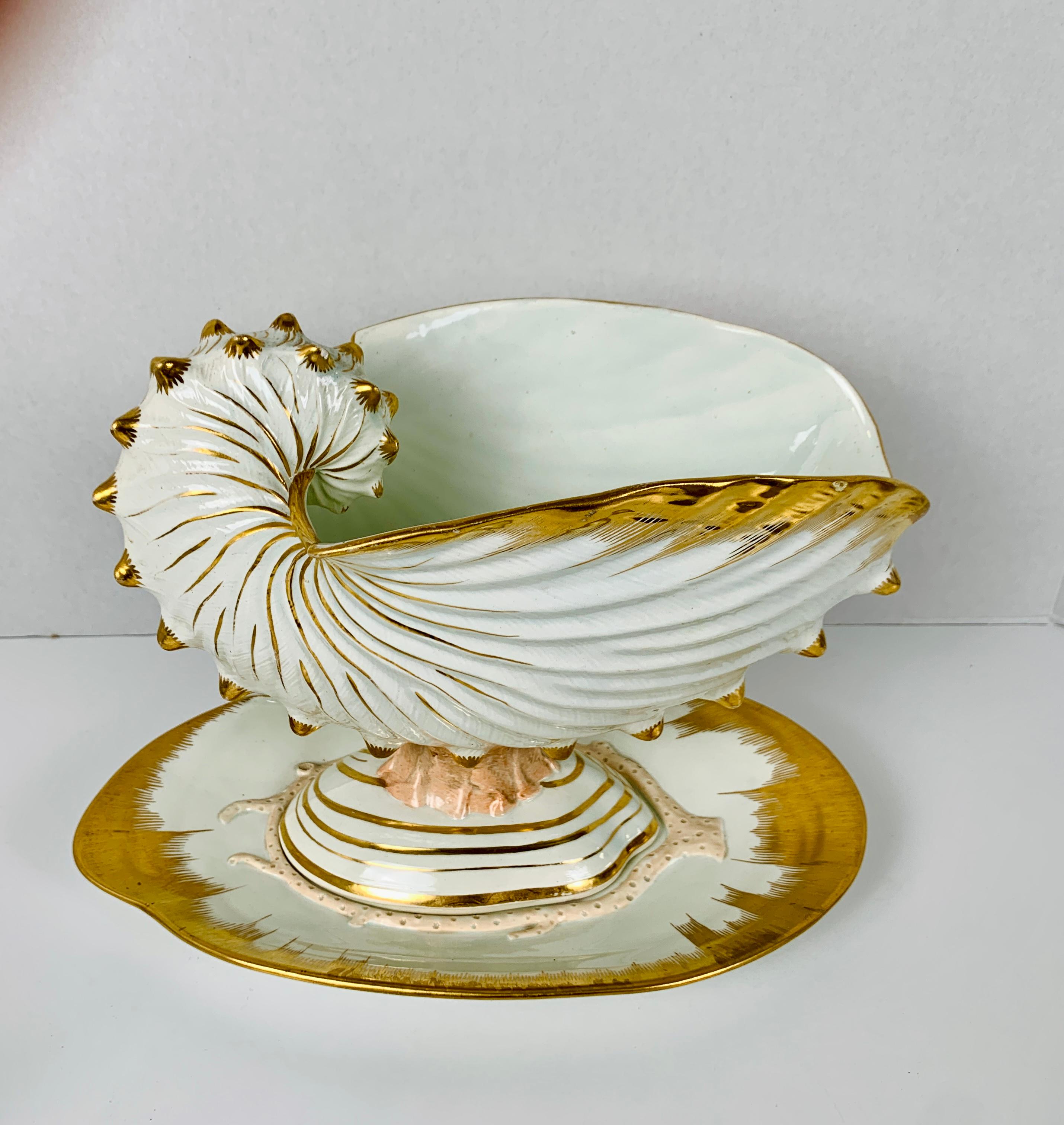 Wedgwood Set with Scallop Shell Shaped Dishes, Clam Shaped Tureens & a Nautilus 3