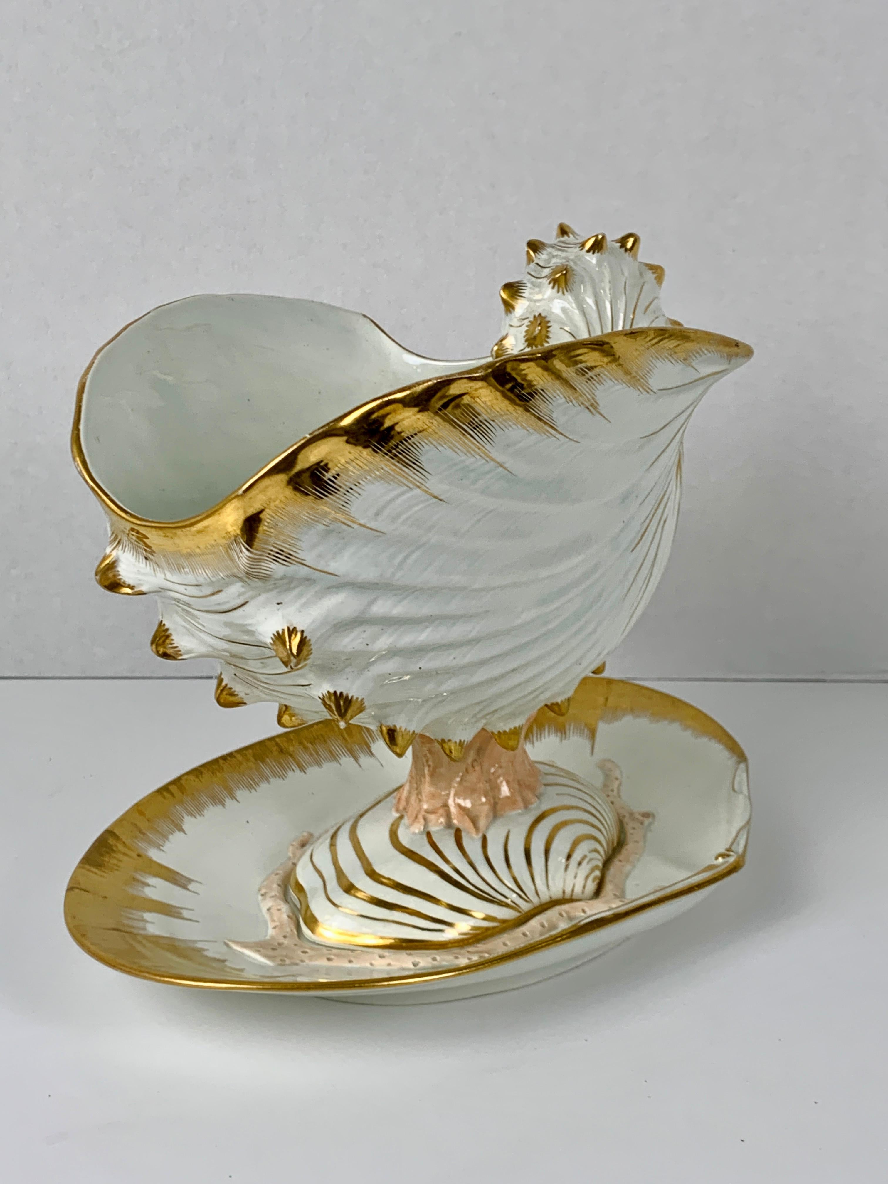 Wedgwood Set with Scallop Shell Shaped Dishes, Clam Shaped Tureens & a Nautilus 5