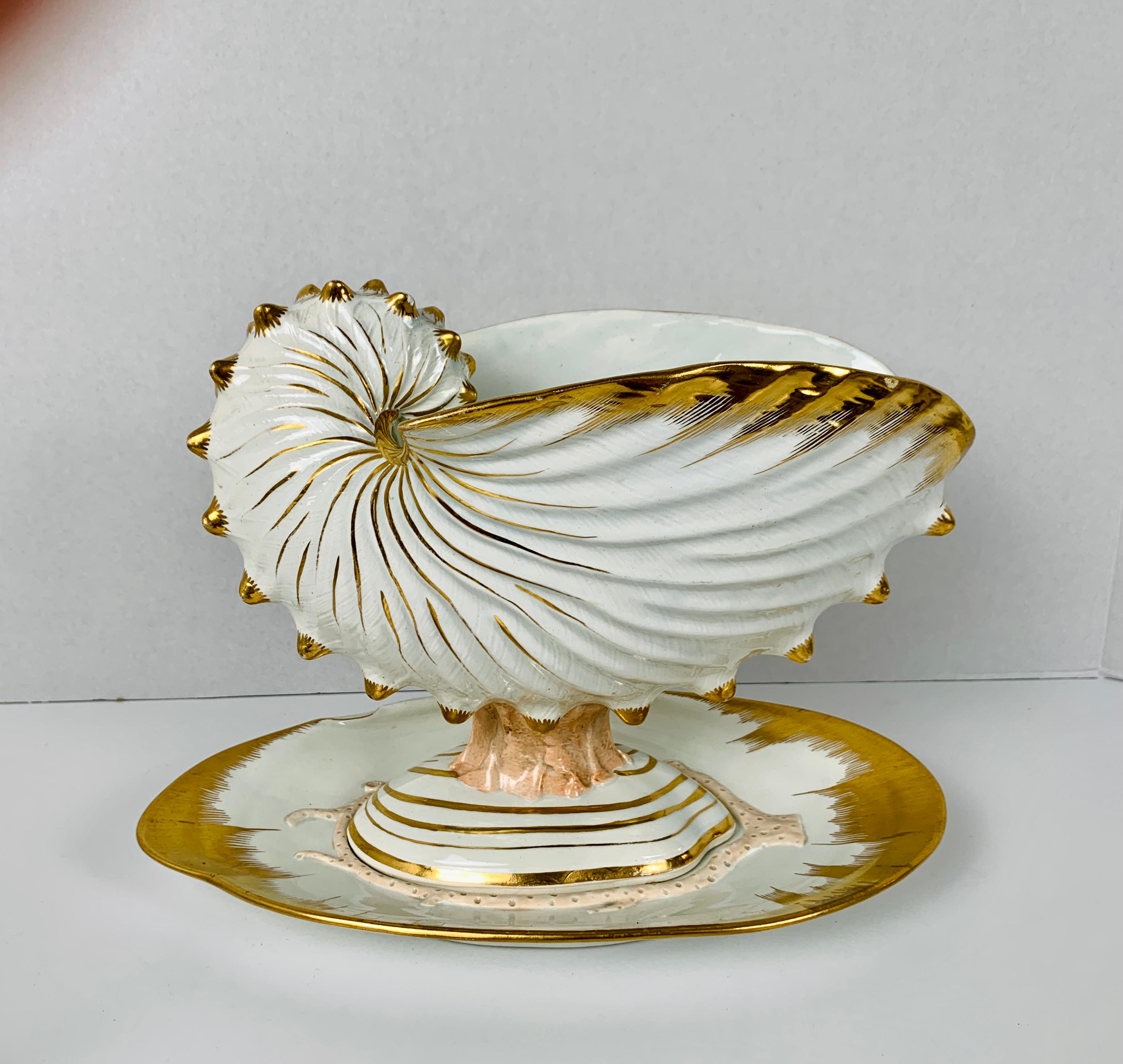 Made in England by Wedgwood circa 1820, this is an exquisite dessert service in excellent condition.
Josiah Wedgwood, who founded the Wedgwood company in the mid-1700s was an avid shell collector.
Under his management, the Wedgwood factory made