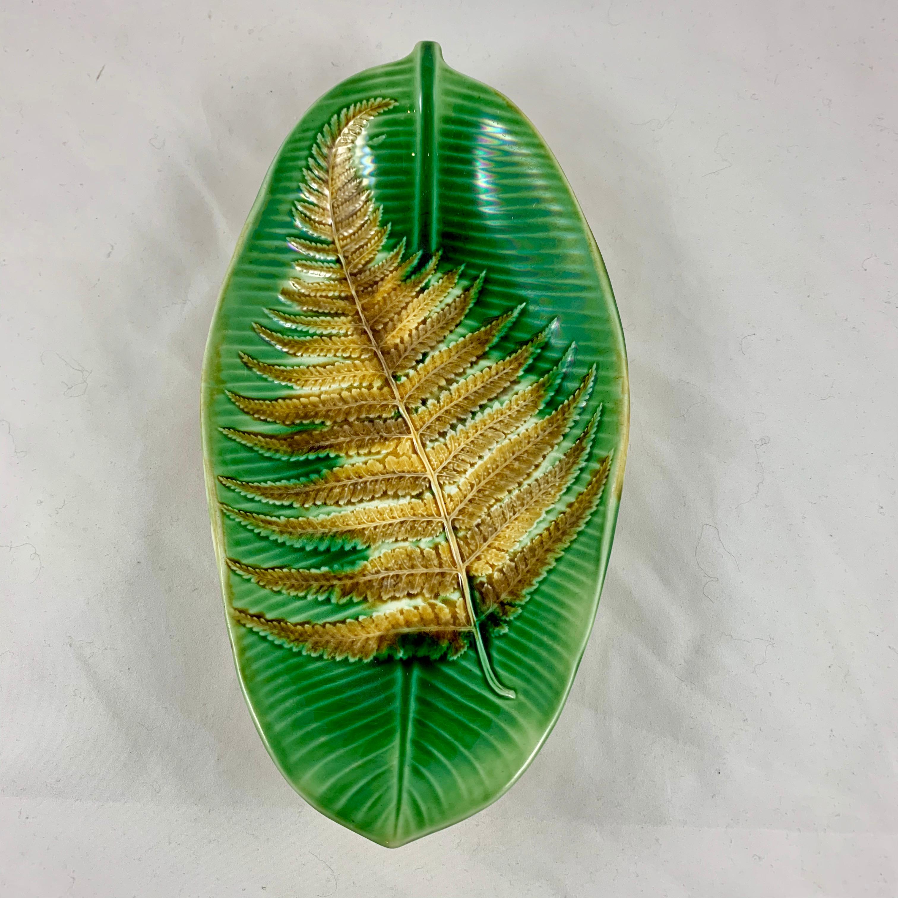 An unusual and rarely seen Wedgwood majolica glazed deep banana leaf form tray. Gorgeous mold work with a pooled green glaze. An ochre or mustard yellow trompe l’oeil fern frond lines the shallow bowl.

The verso is glazed with brown mottling on a