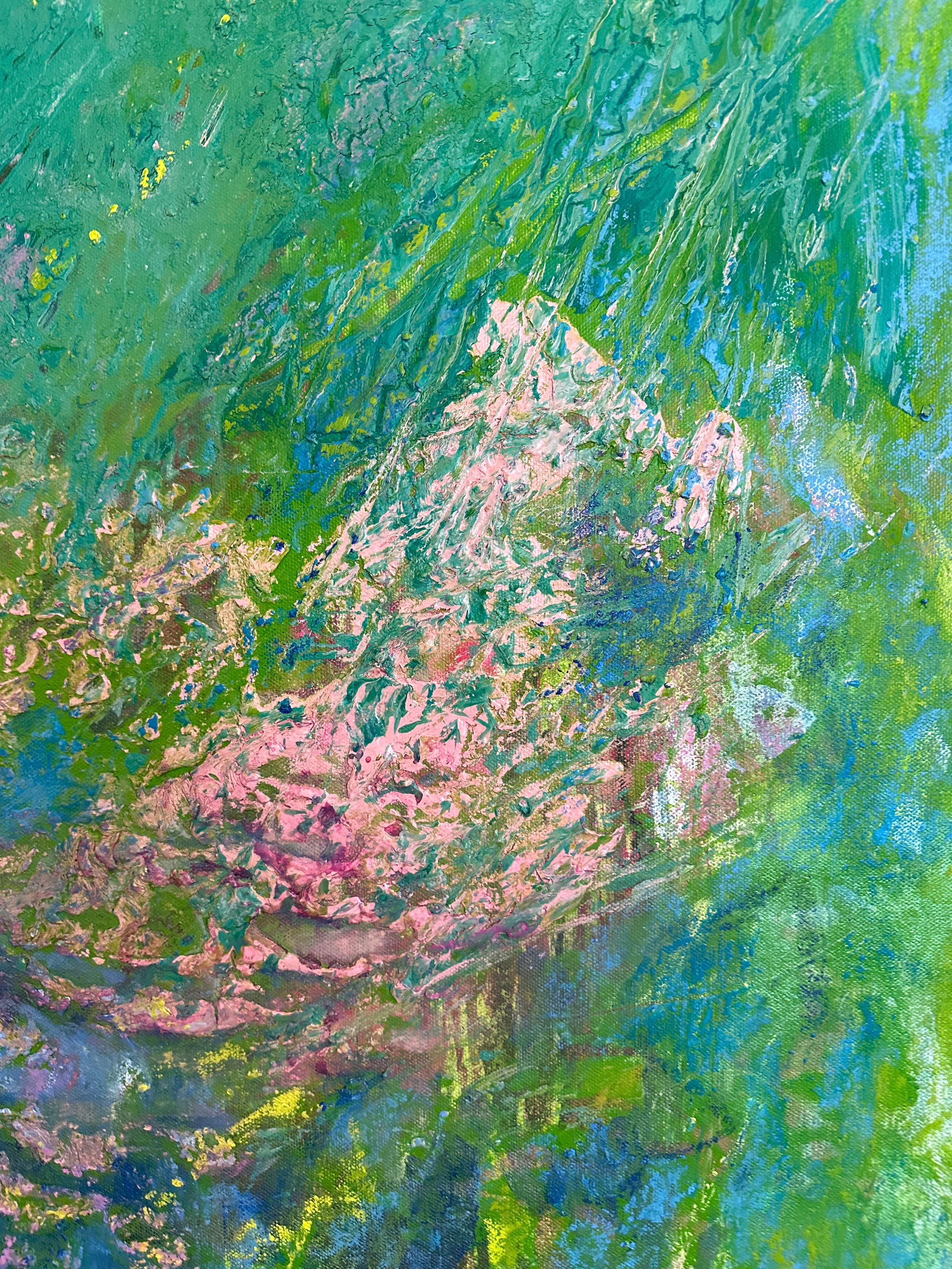 Paisaje de primavera: Onagra 5.24 en venta 10