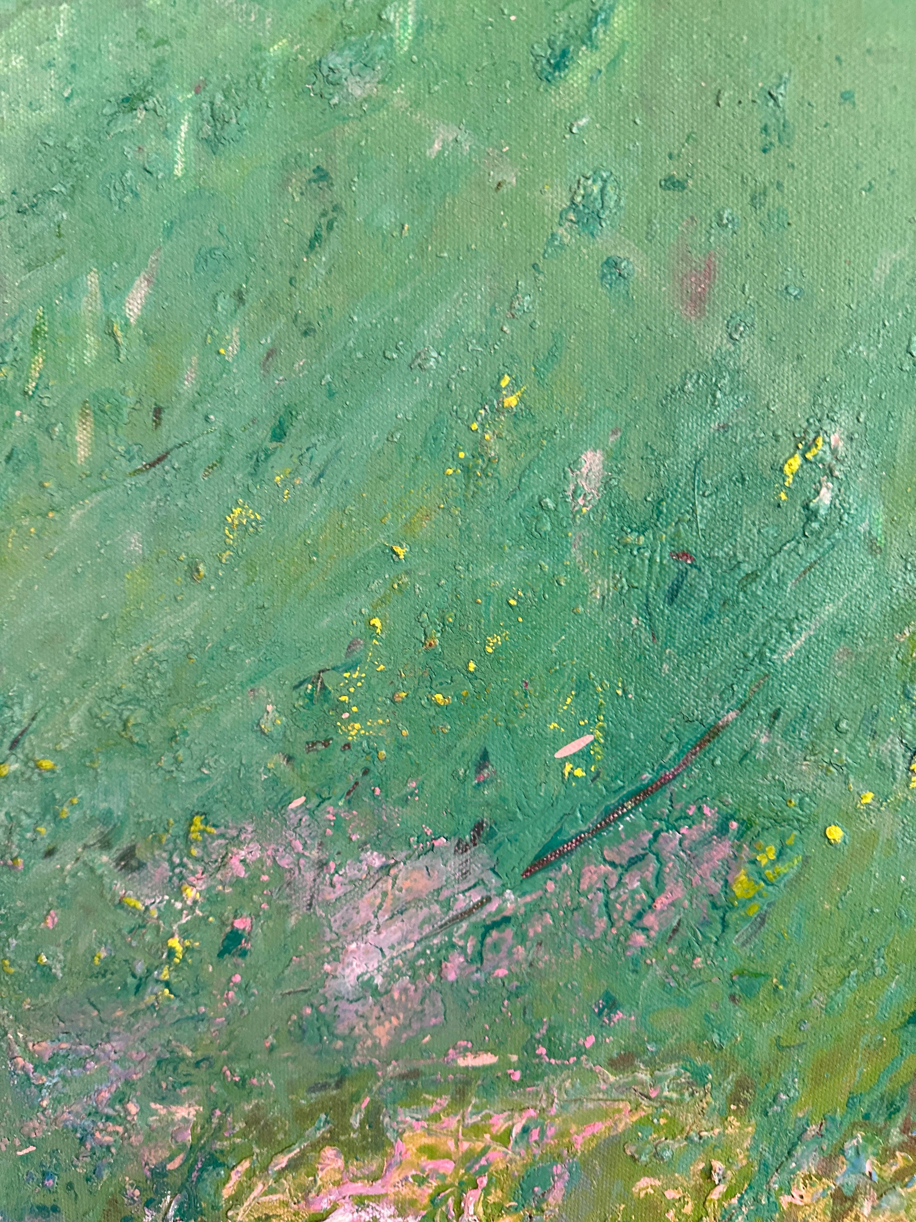 Paisaje de primavera: Onagra 5.24 en venta 1
