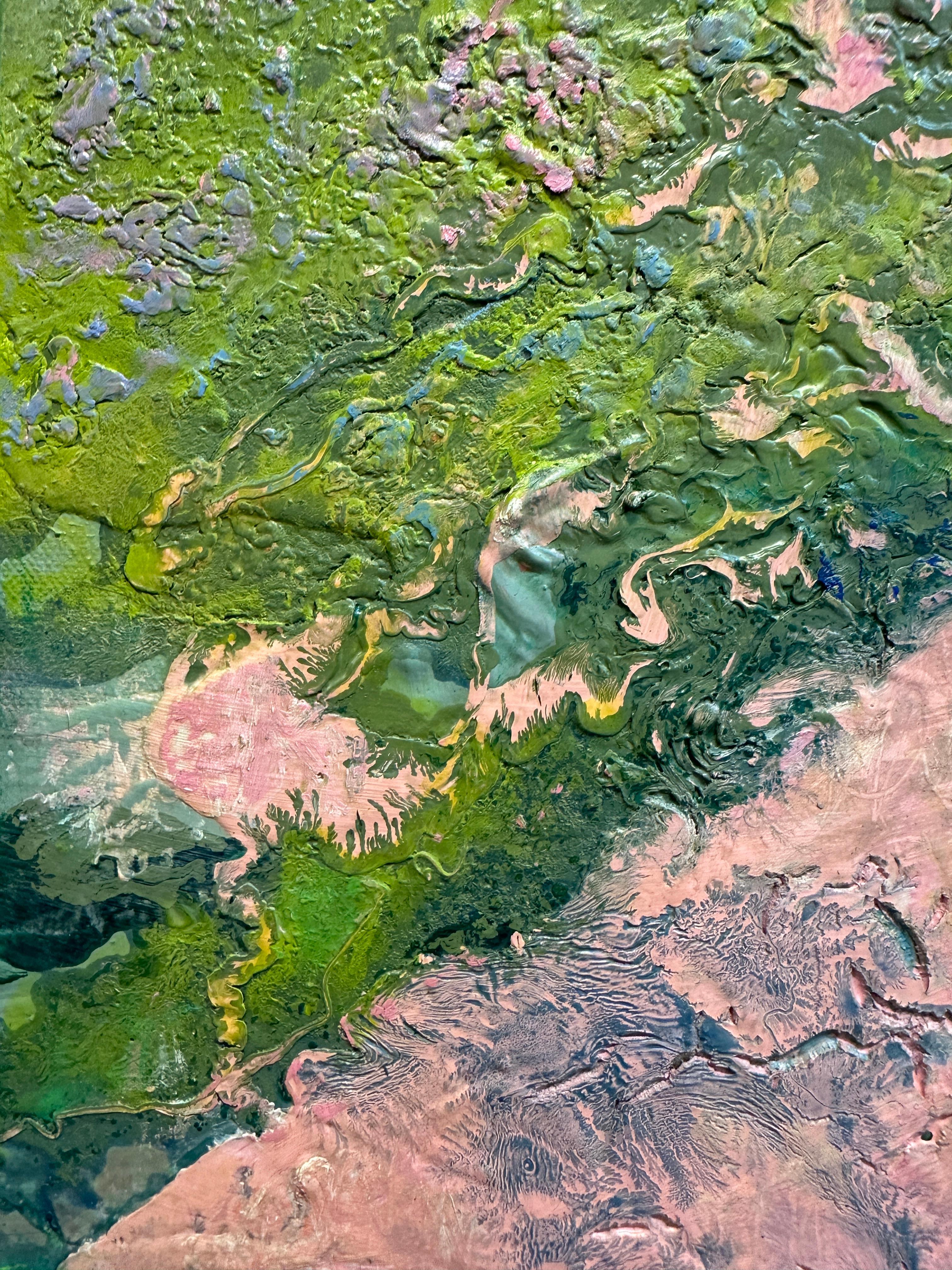 Frühlingsblumen-Landschaft: Abend Primrose 5.7.24 im Angebot 4
