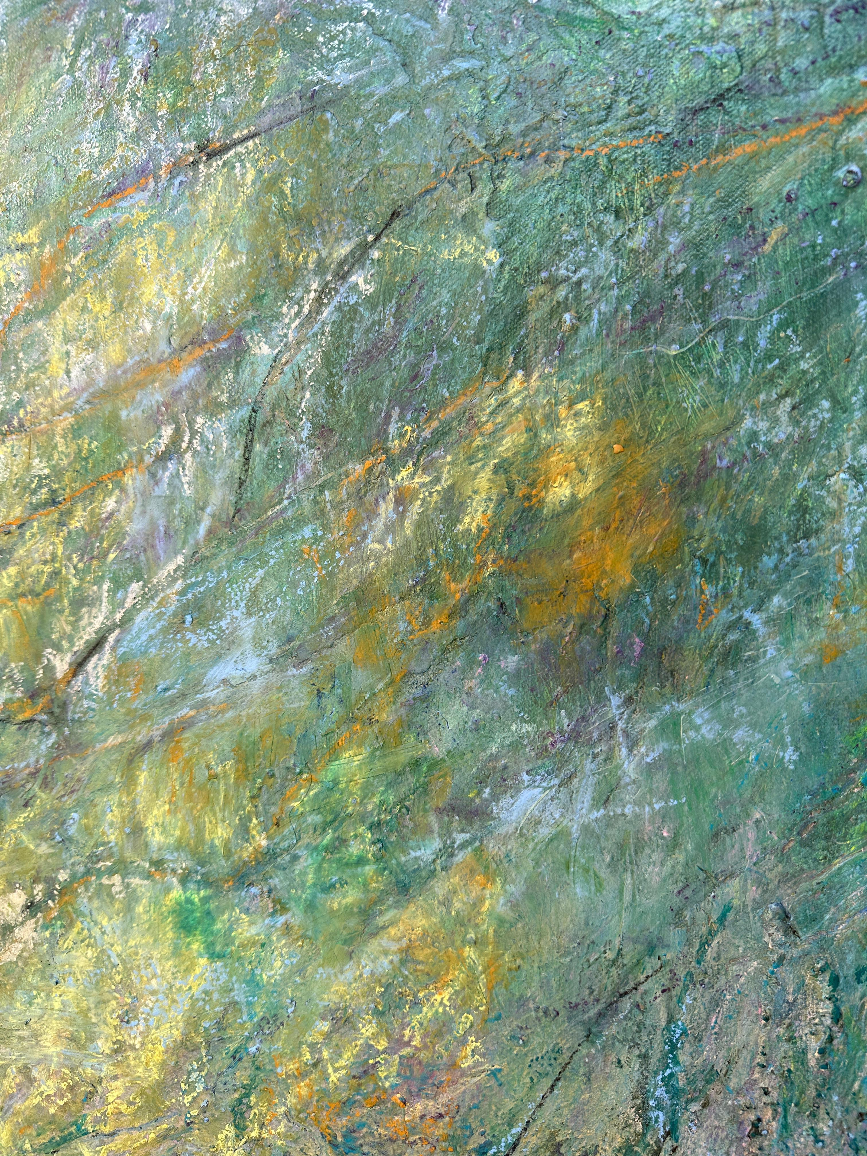 Paesaggio di fiori primaverili: Campi di primule in vendita 2