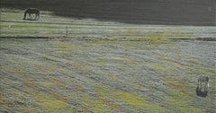 Les chevaux (Hongrie)