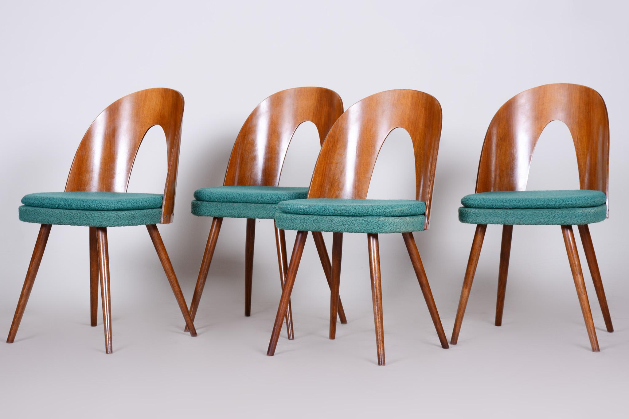 Well Preserved Czech Blue and Brown Ash Chairs by Antonín Šuman, 4 Pcs, 1950s In Good Condition In Horomerice, CZ