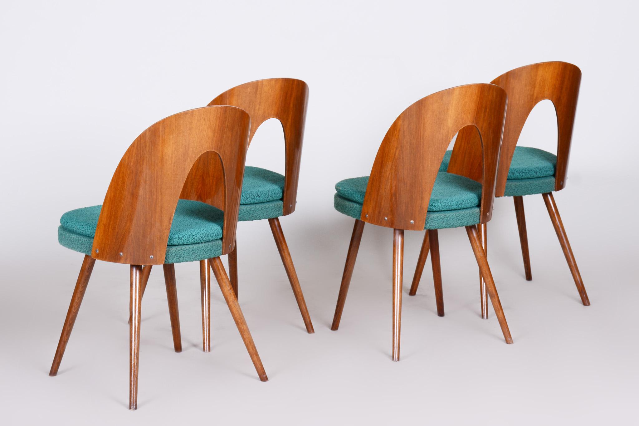 20th Century Well Preserved Czech Blue and Brown Ash Chairs by Antonín Šuman, 4 Pcs, 1950s